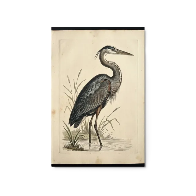 Great Blue Heron in Marsh | Art Print