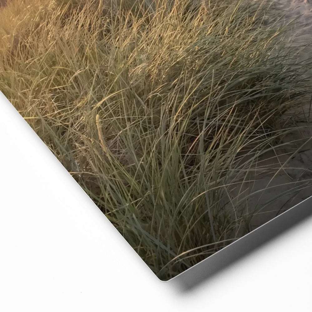 Golden Path to the Sea 
 Canvas with Black Frame