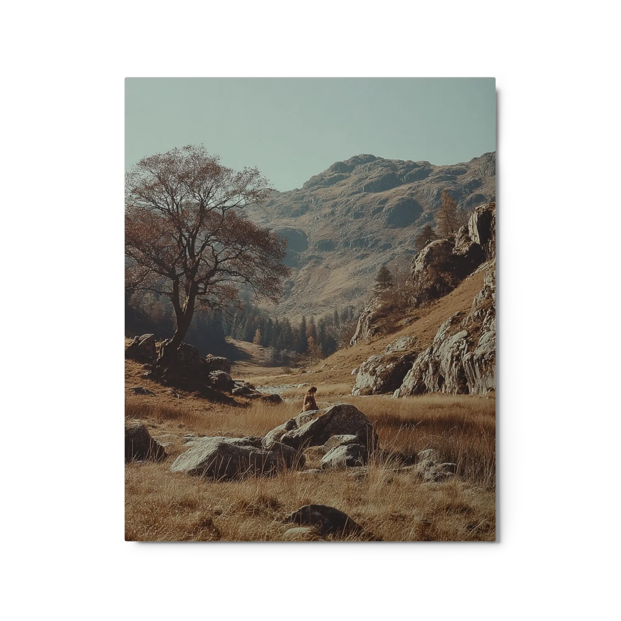 The Lonely Valley