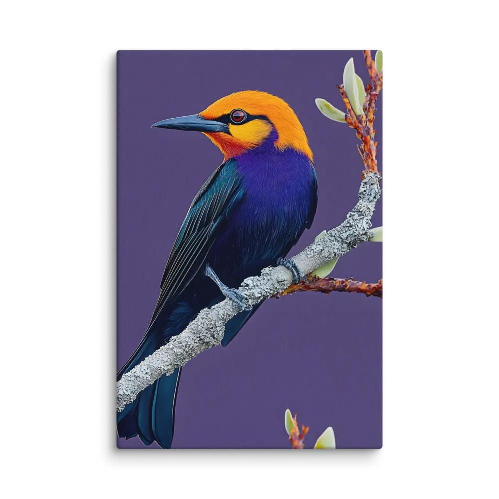 Perched Plumage 
 Canvas | 32″x 48″