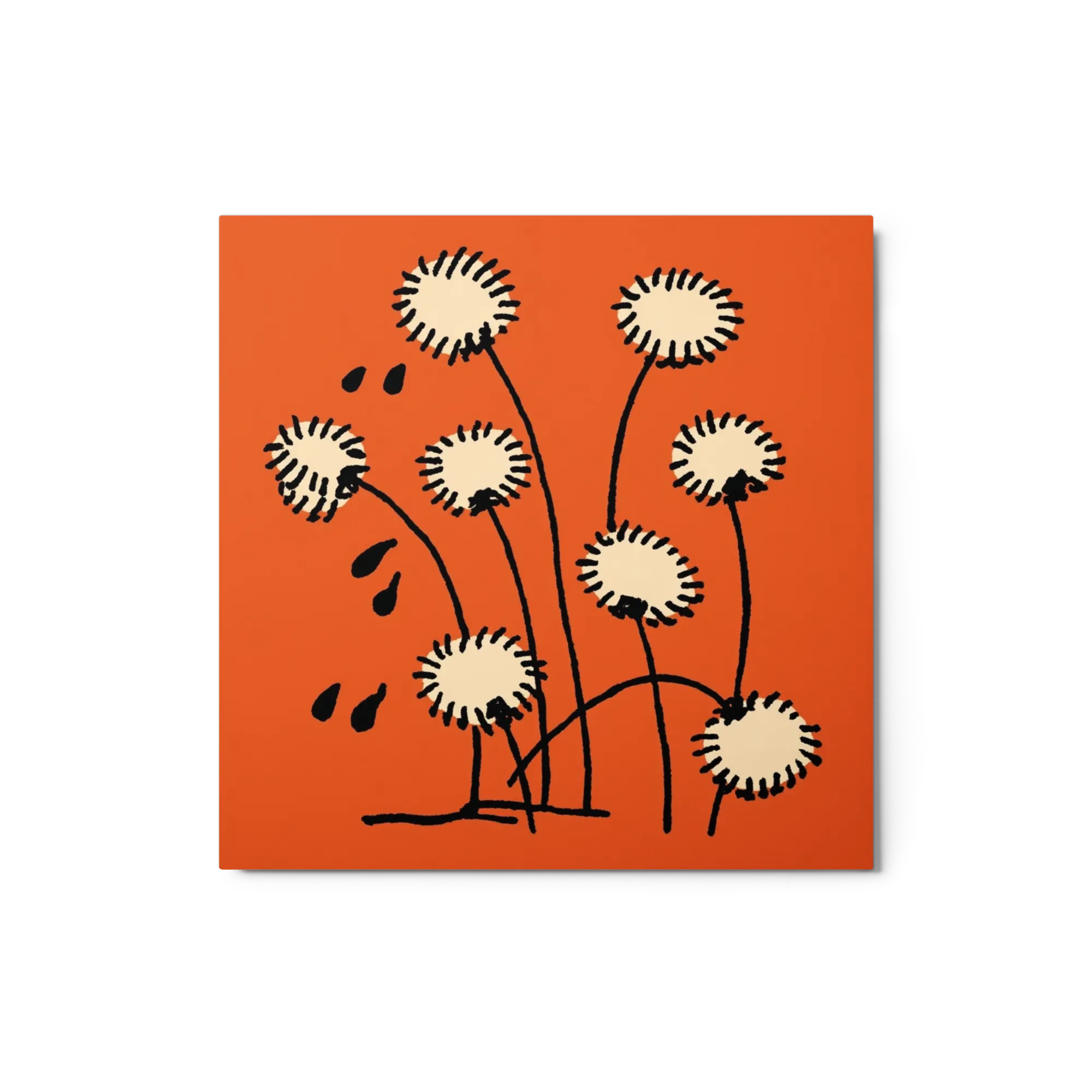 Dandelion Seeds on Orange