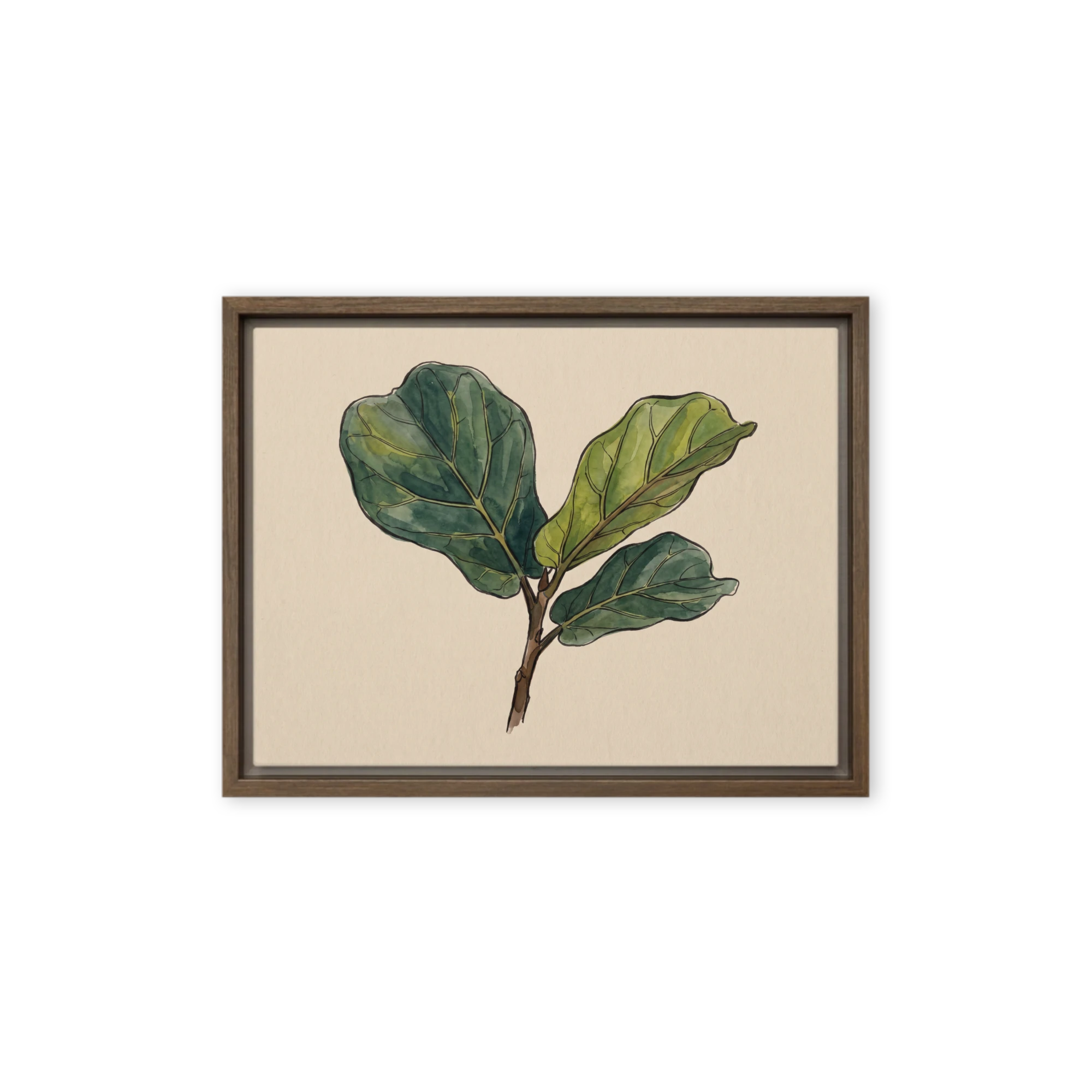 Fiddle-Leaf Fig Branch