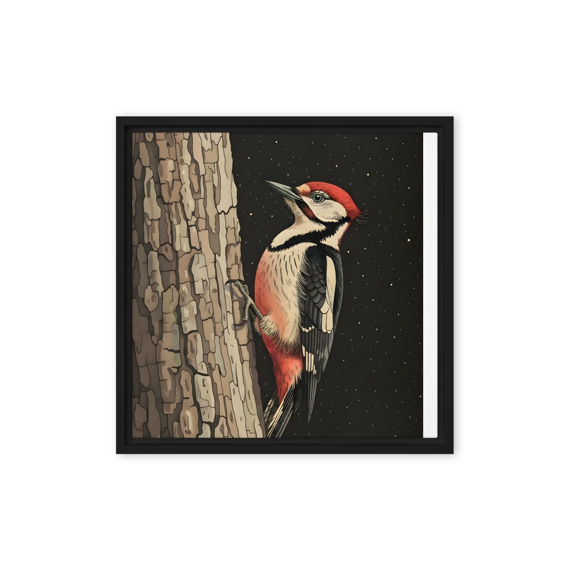 The Woodpecker's Night