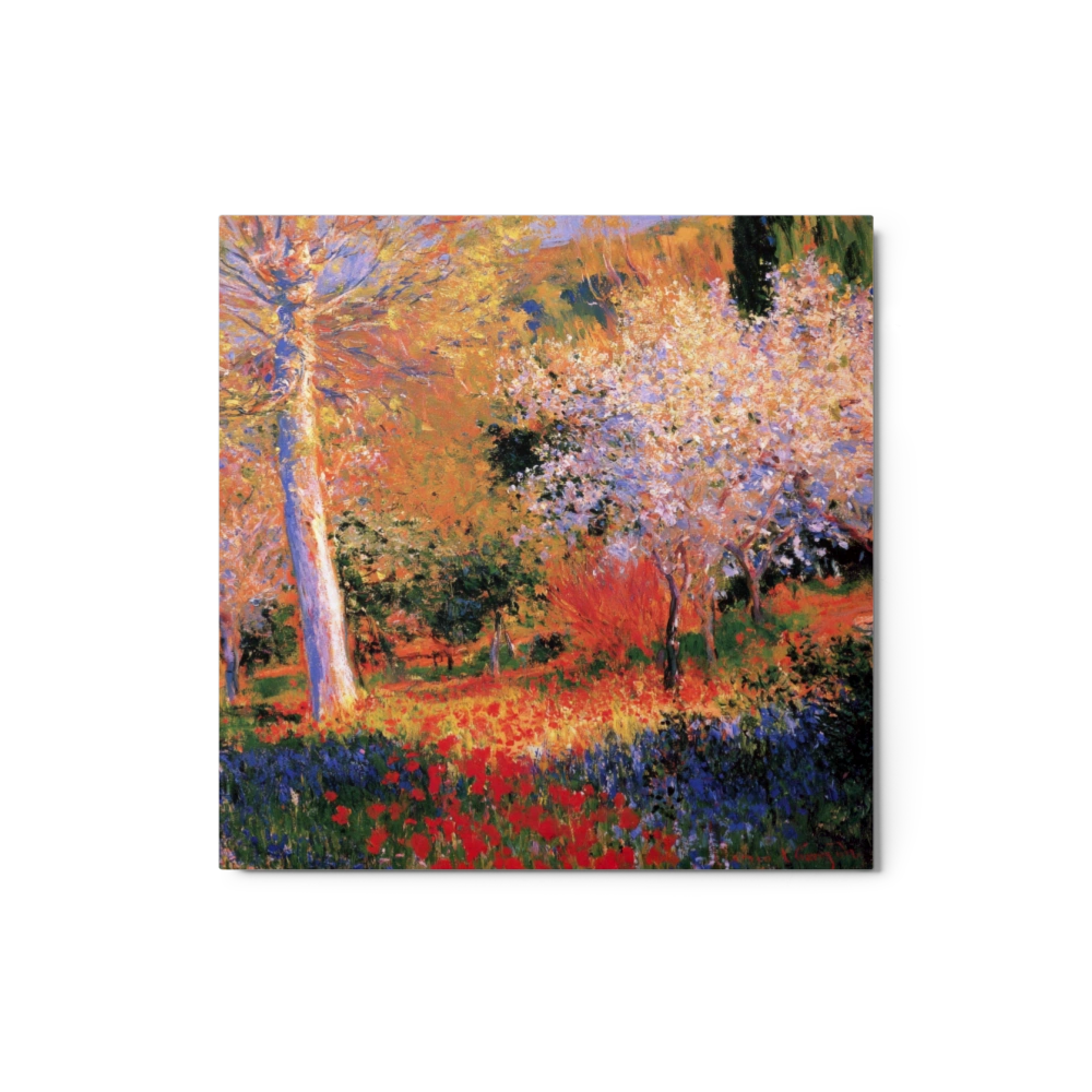 Blooming Orchard in Spring