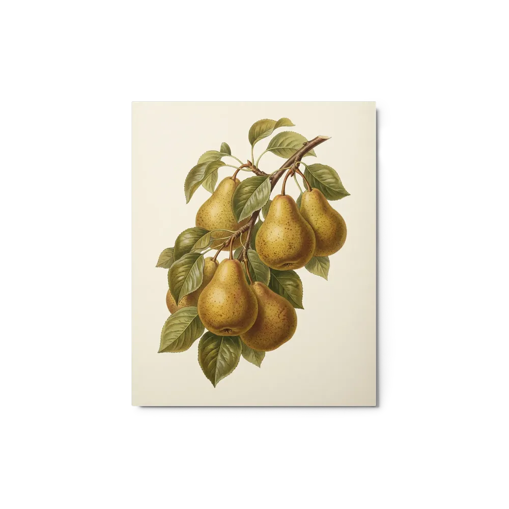 Vintage Pear Branch | Art Print