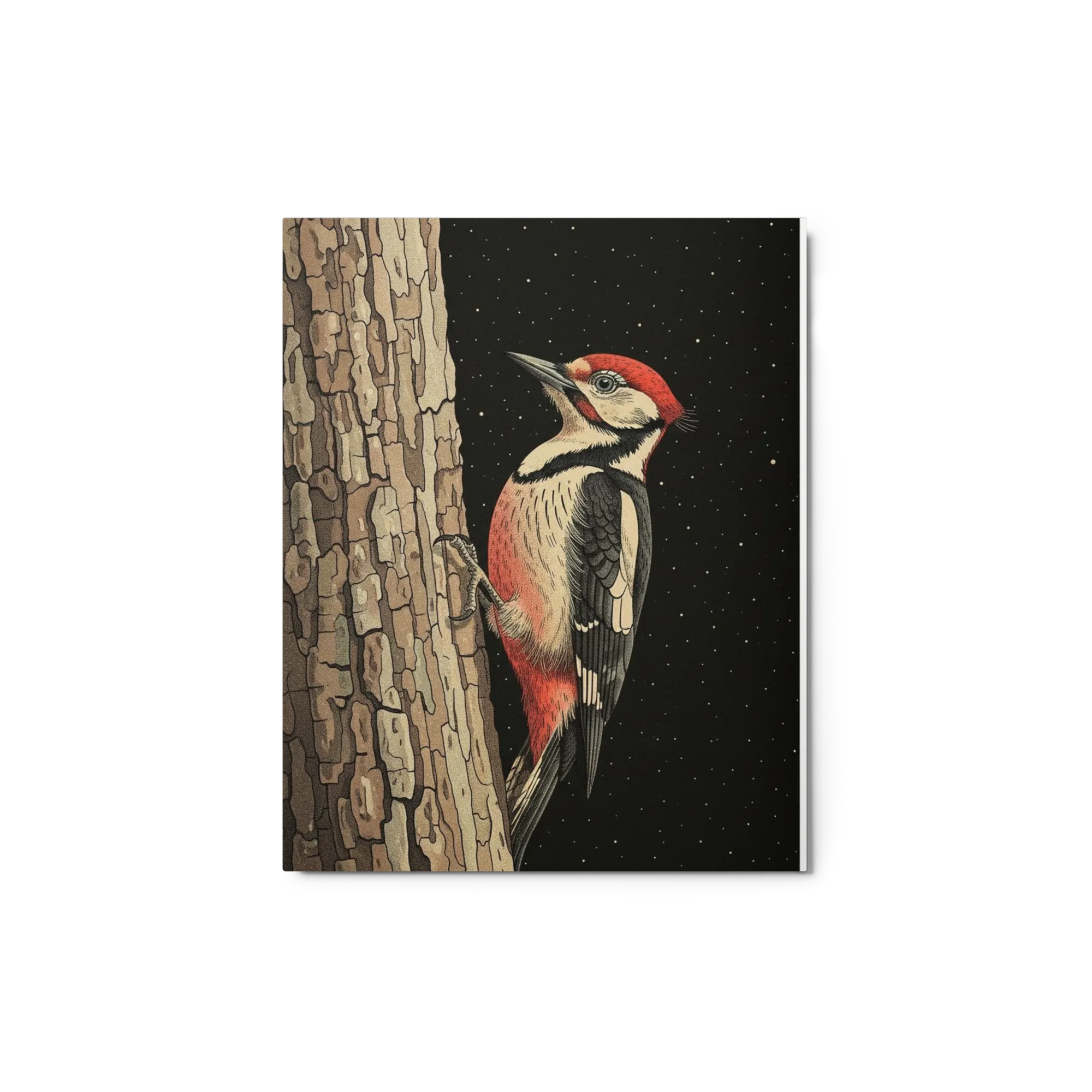 The Woodpecker's Night