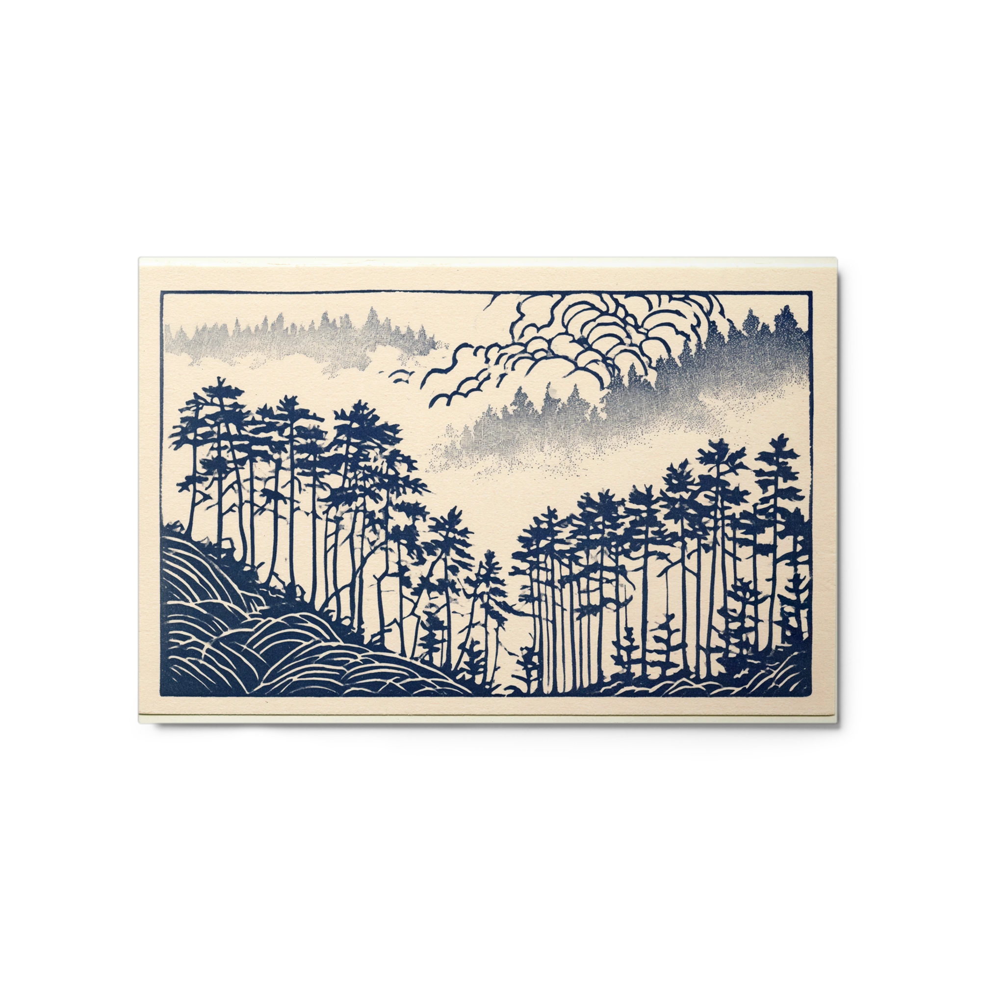 Misty Pine Forest