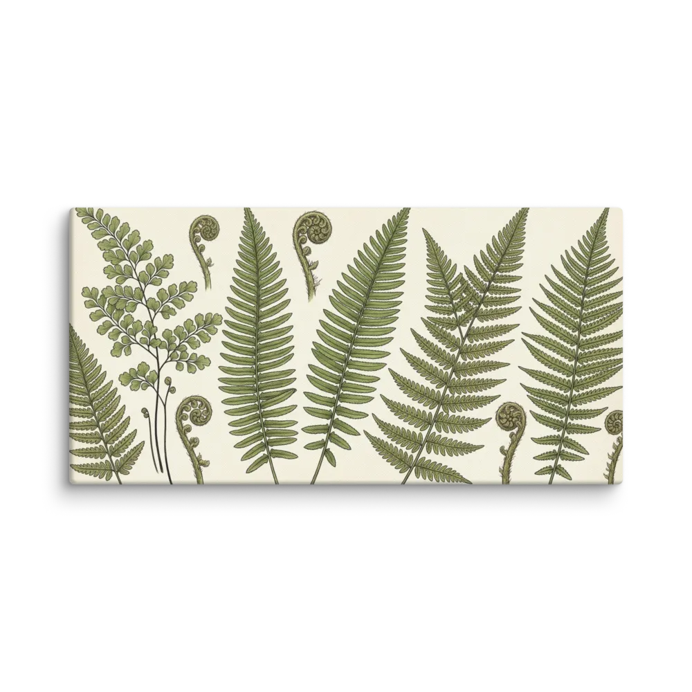 Vintage Ferns Botanical Illustration 
 Canvas | 12″x 24″