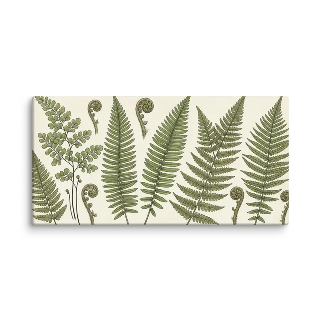 Vintage Ferns Botanical Illustration | Art Print