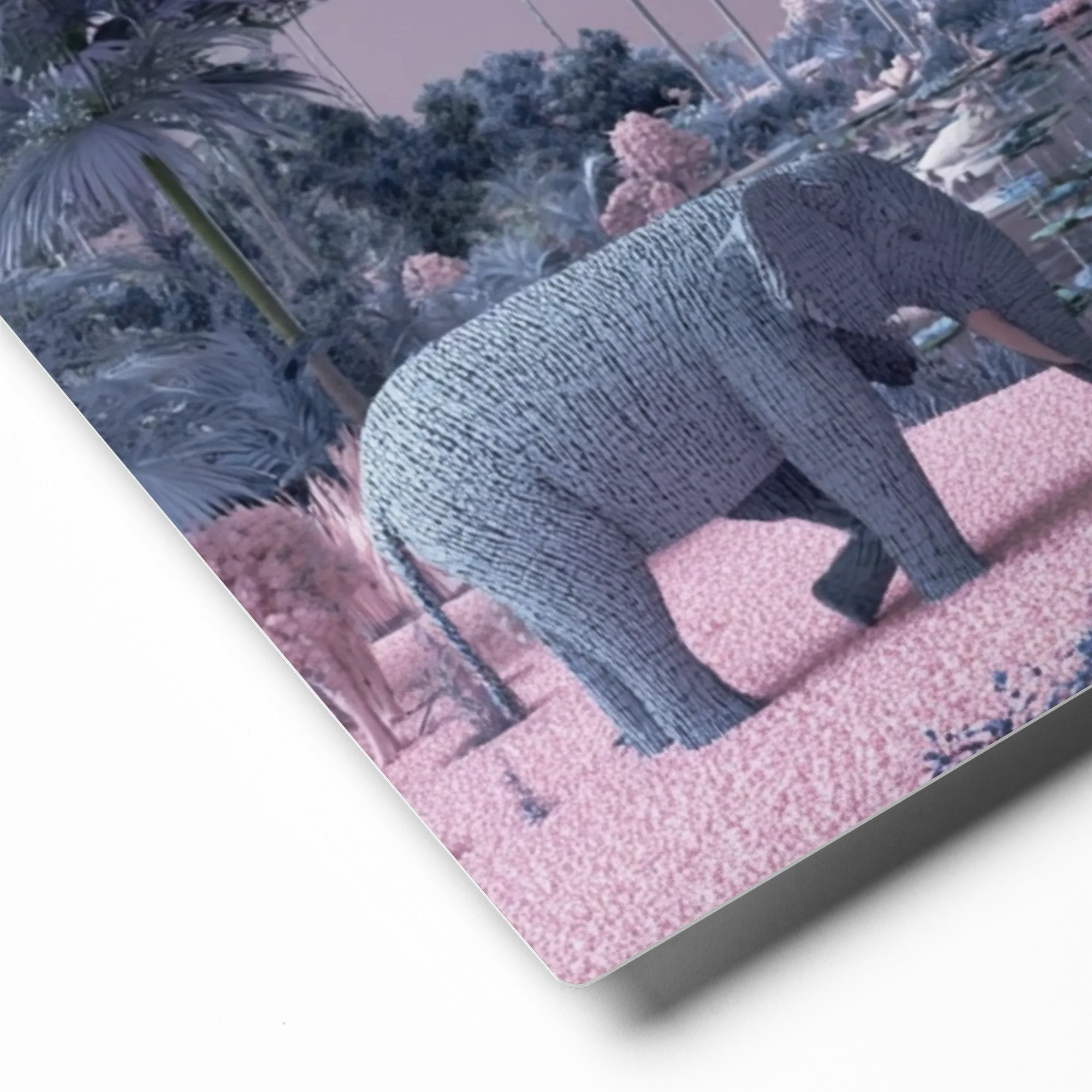 Blue Elephant Dream 
 Metal Print | 12″x 12″
