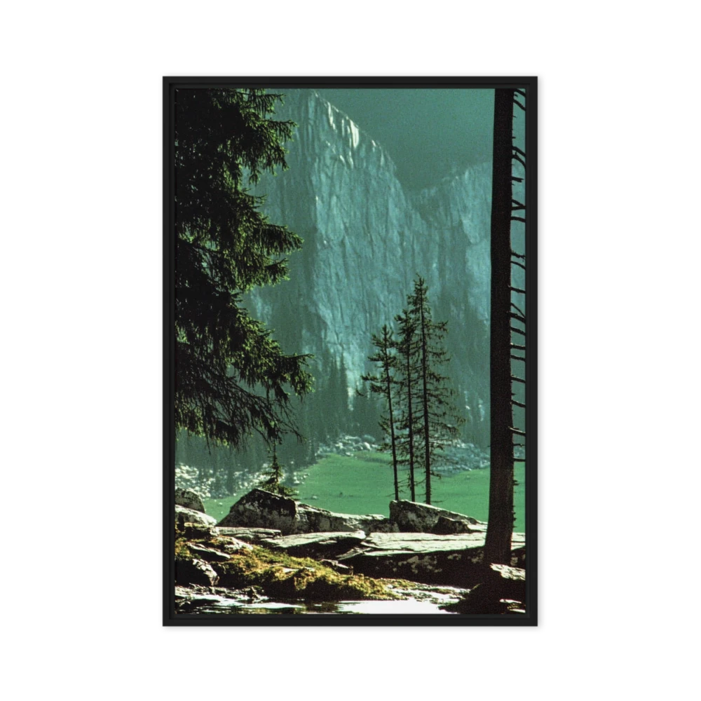 Cliffside Forest Glade | Art Print