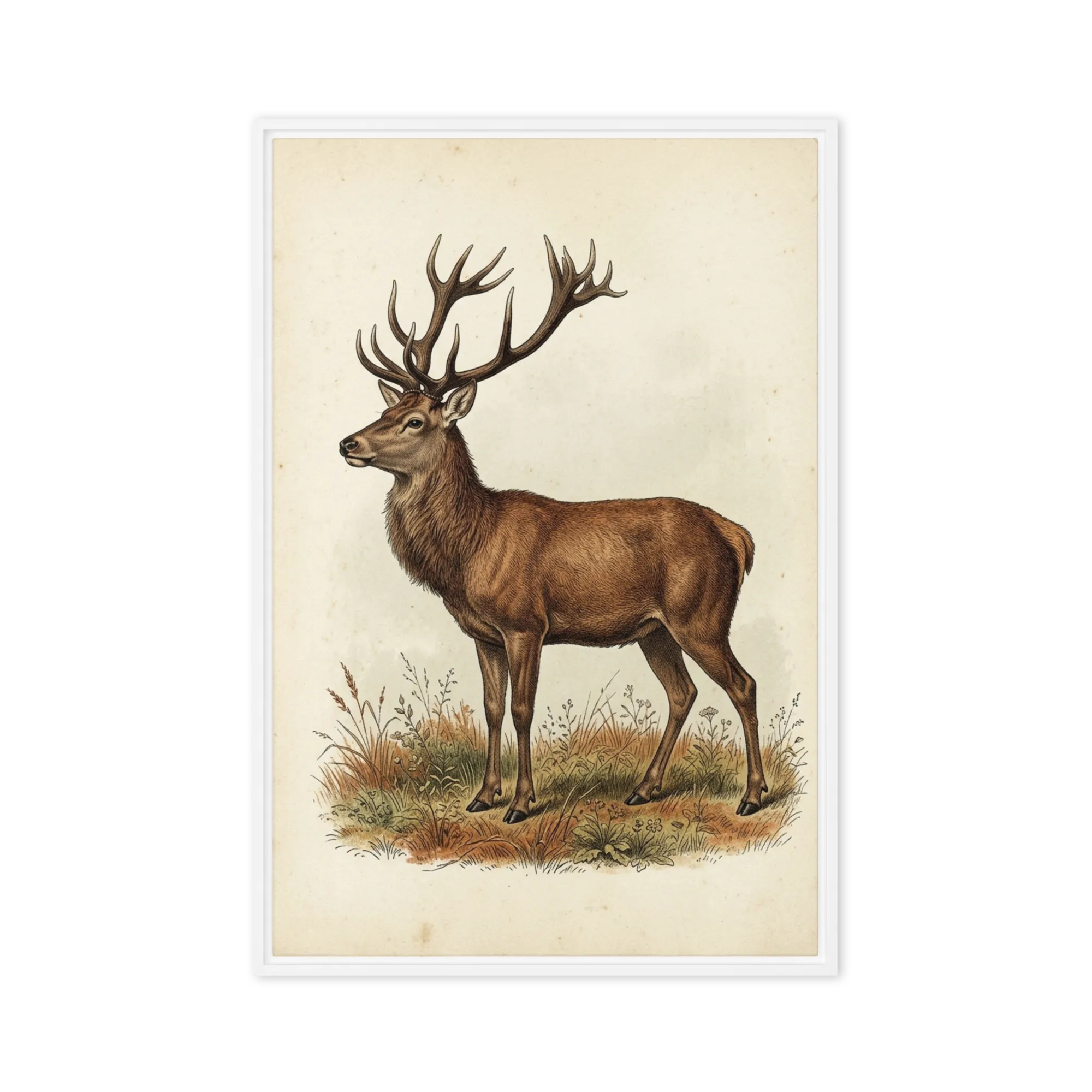 The Noble Stag 
 Poster with Red oak Frame | 18″x 24″