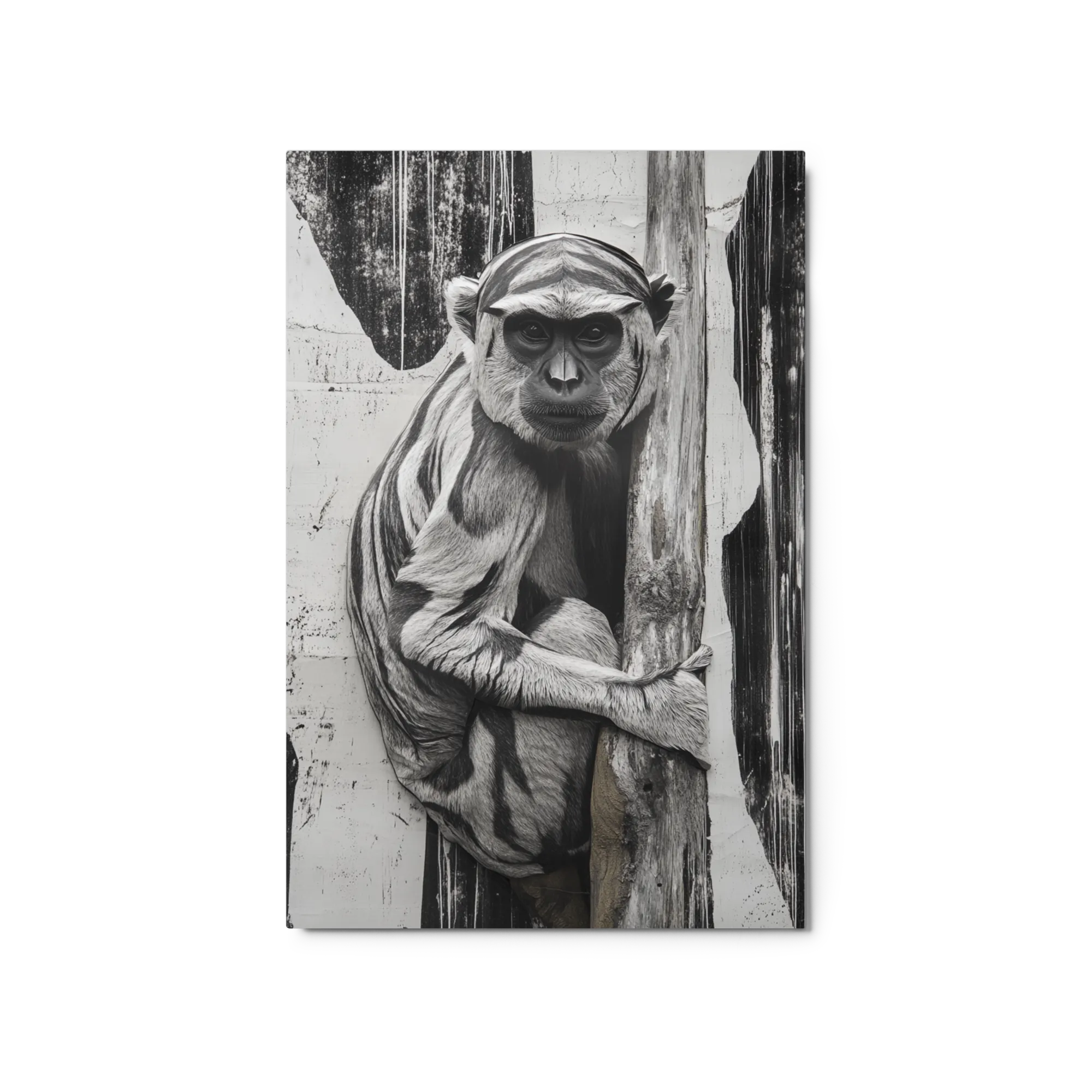 Monochromatic Monkey Portrait