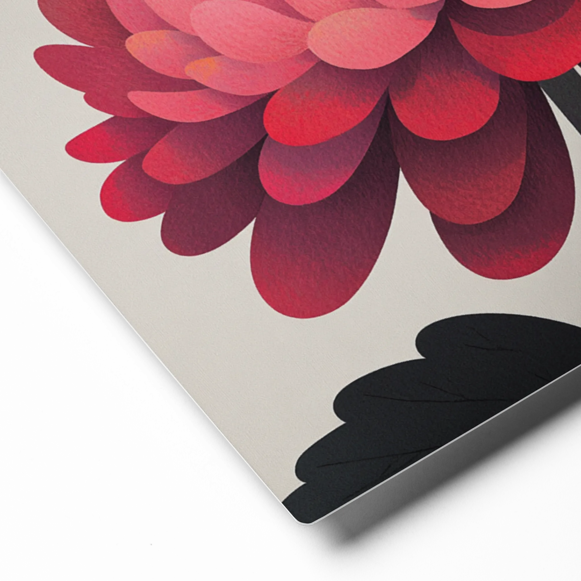 Crimson Chrysanthemum | Art Print