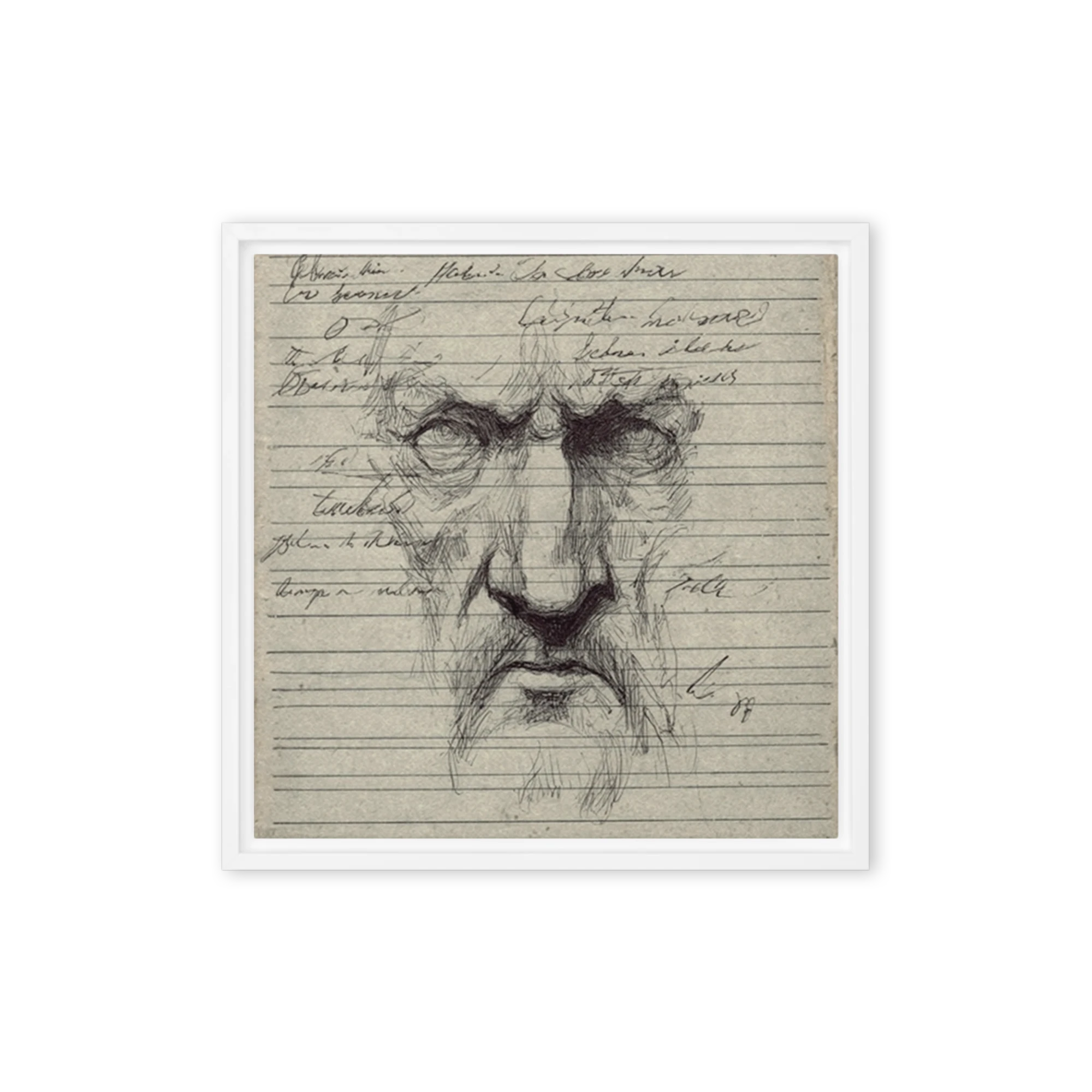 The Philosopher's Gaze