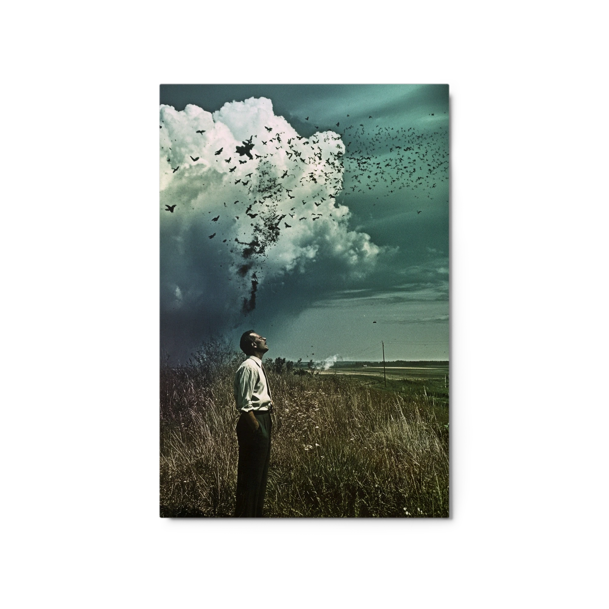 Surreal Man in Landscape with Birds