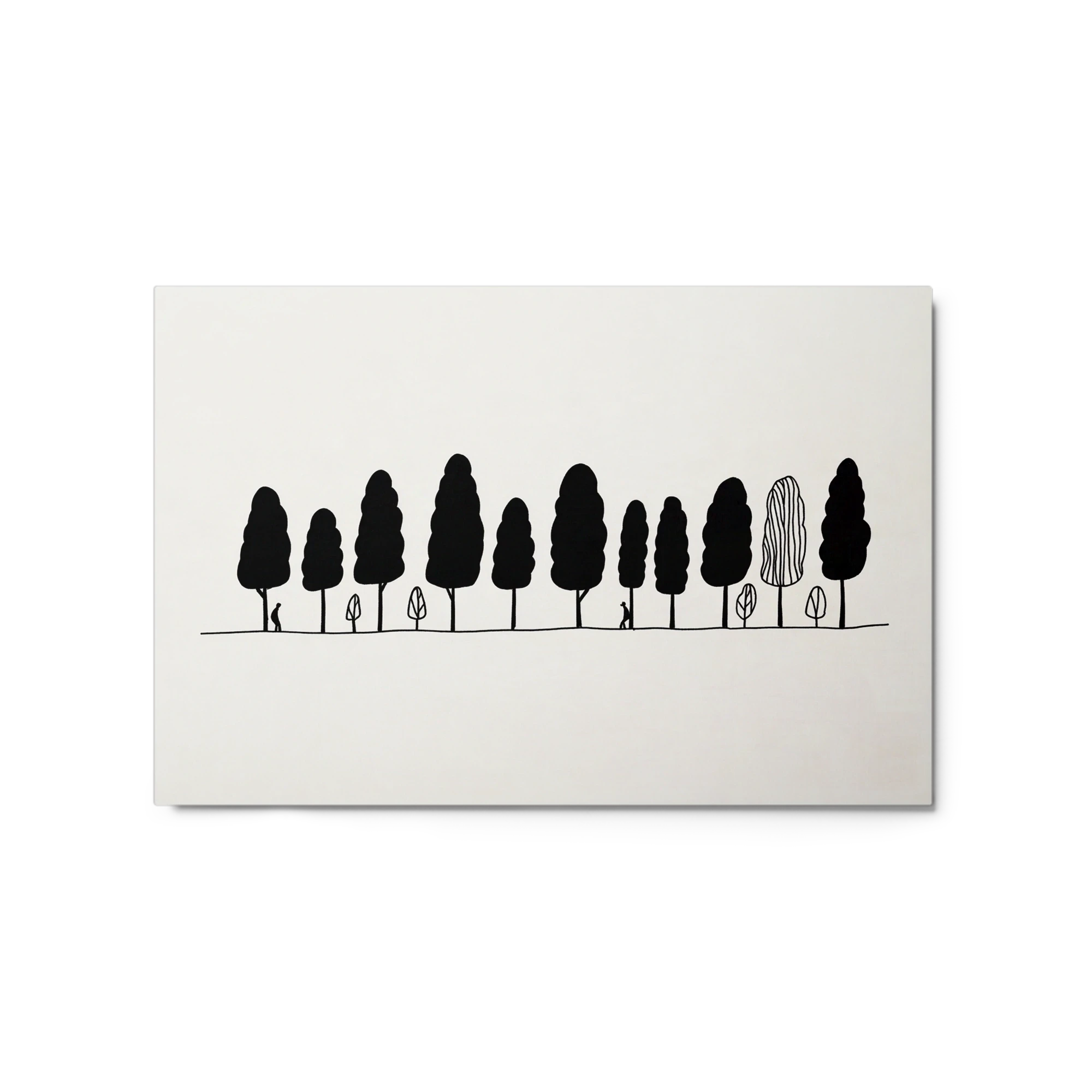 Walk Among Cypress Trees