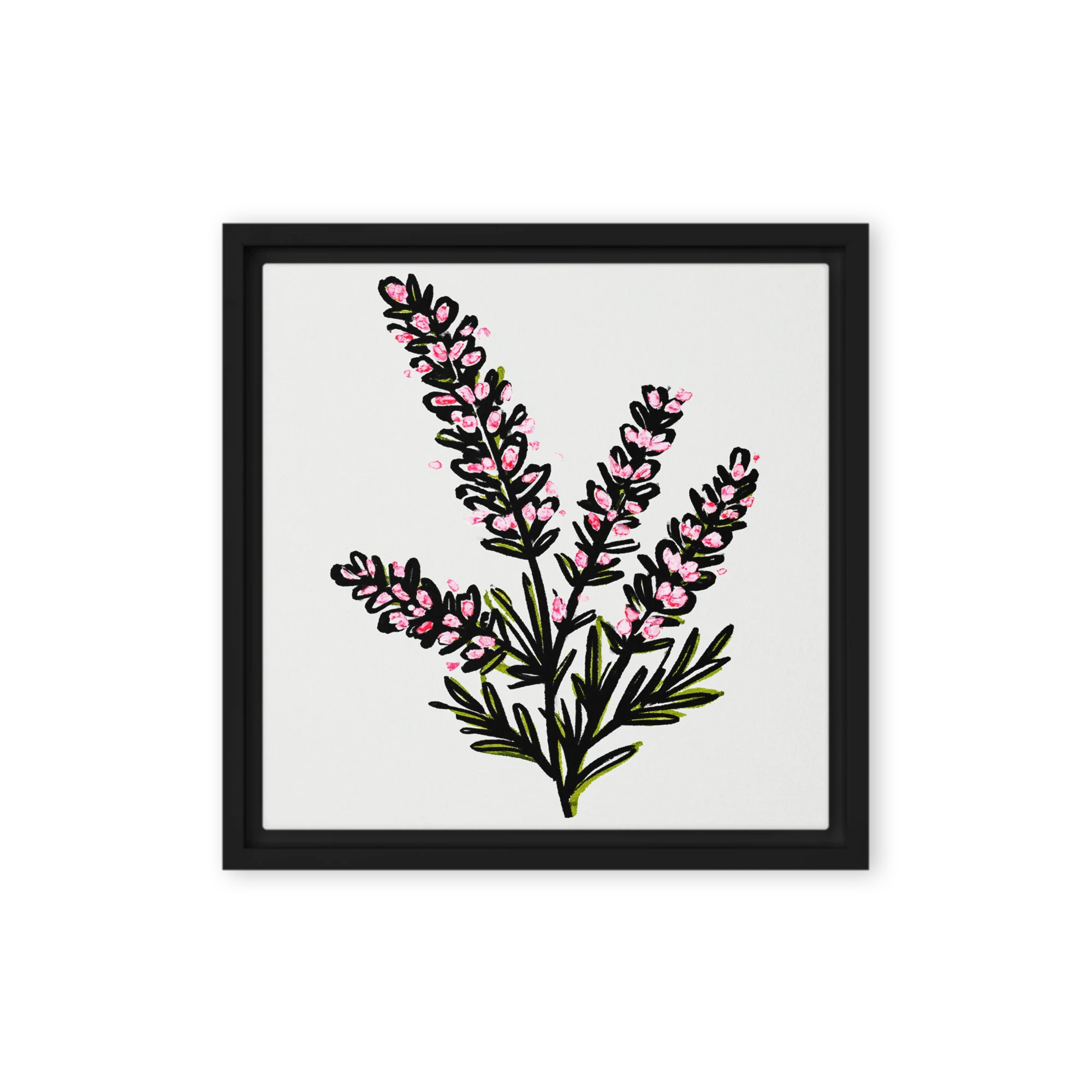 Pink Heather Botanical