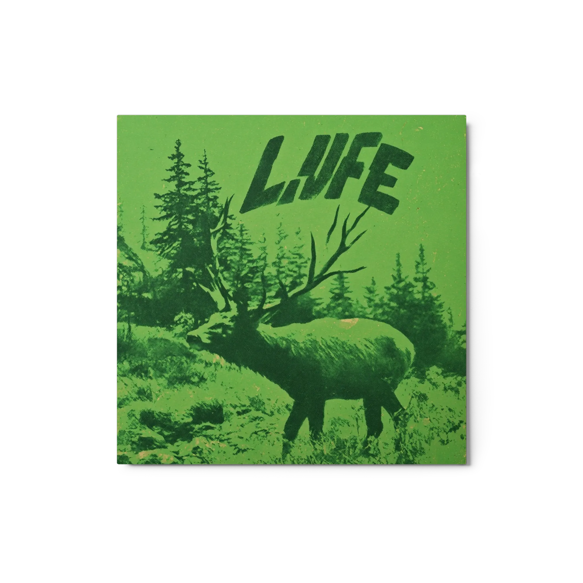 Green Stag Life