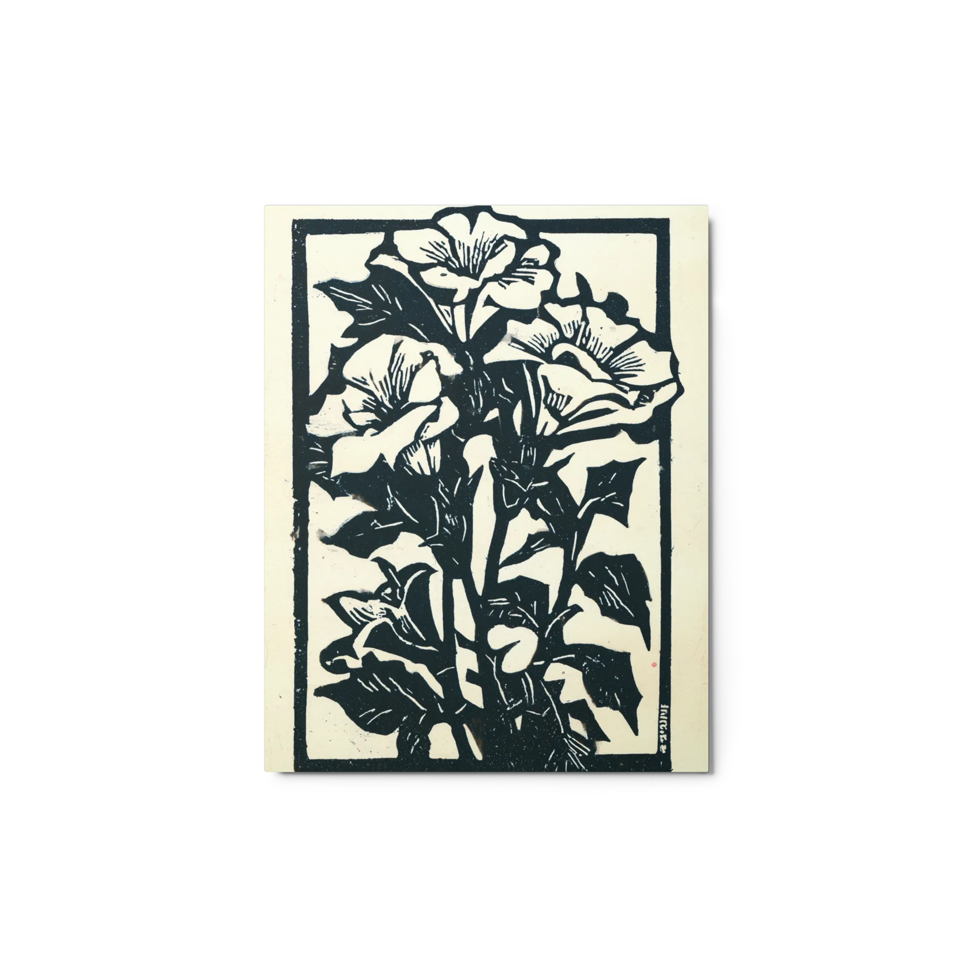 Morning Glory Woodcut