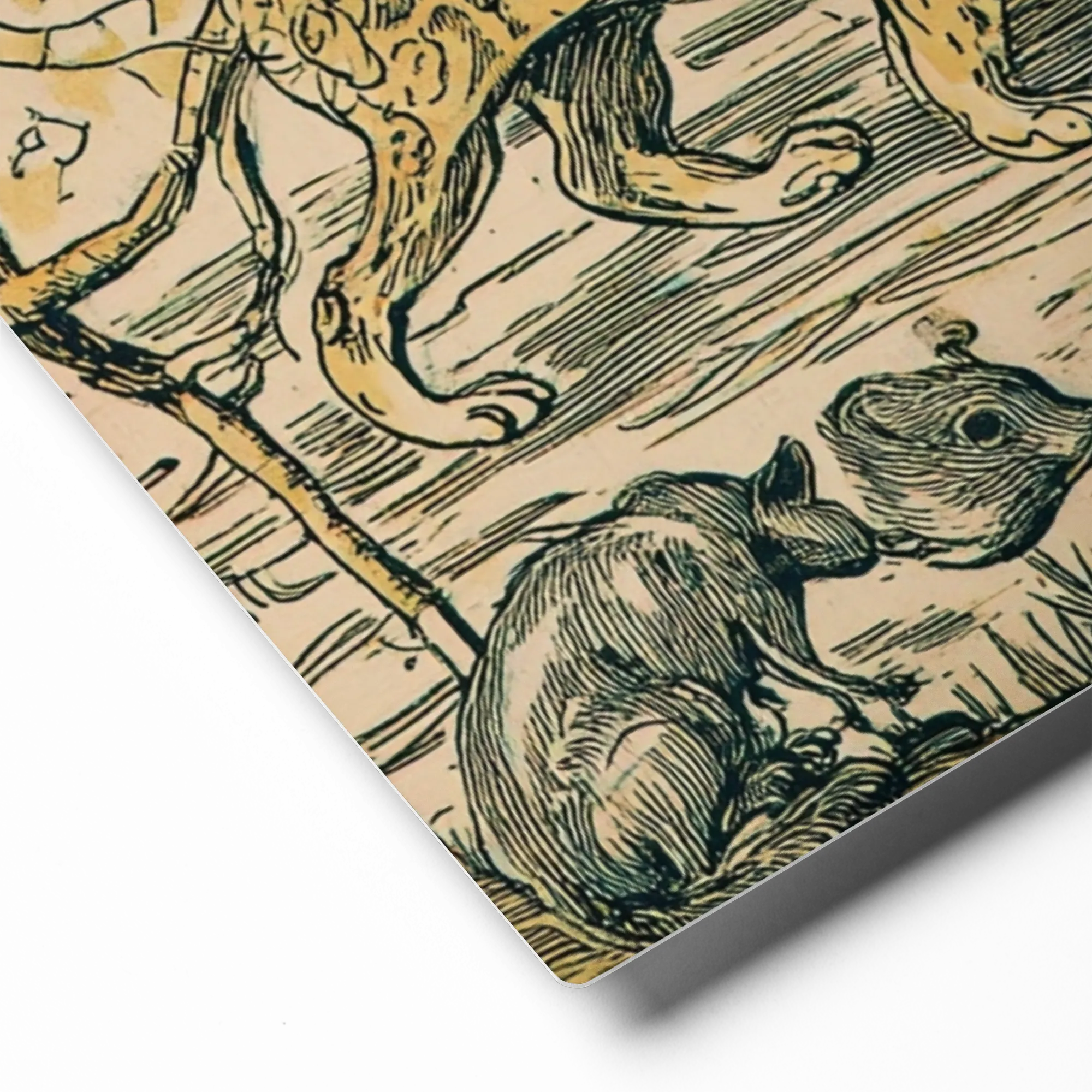 Wild Animals Vintage Engraving | Art Print