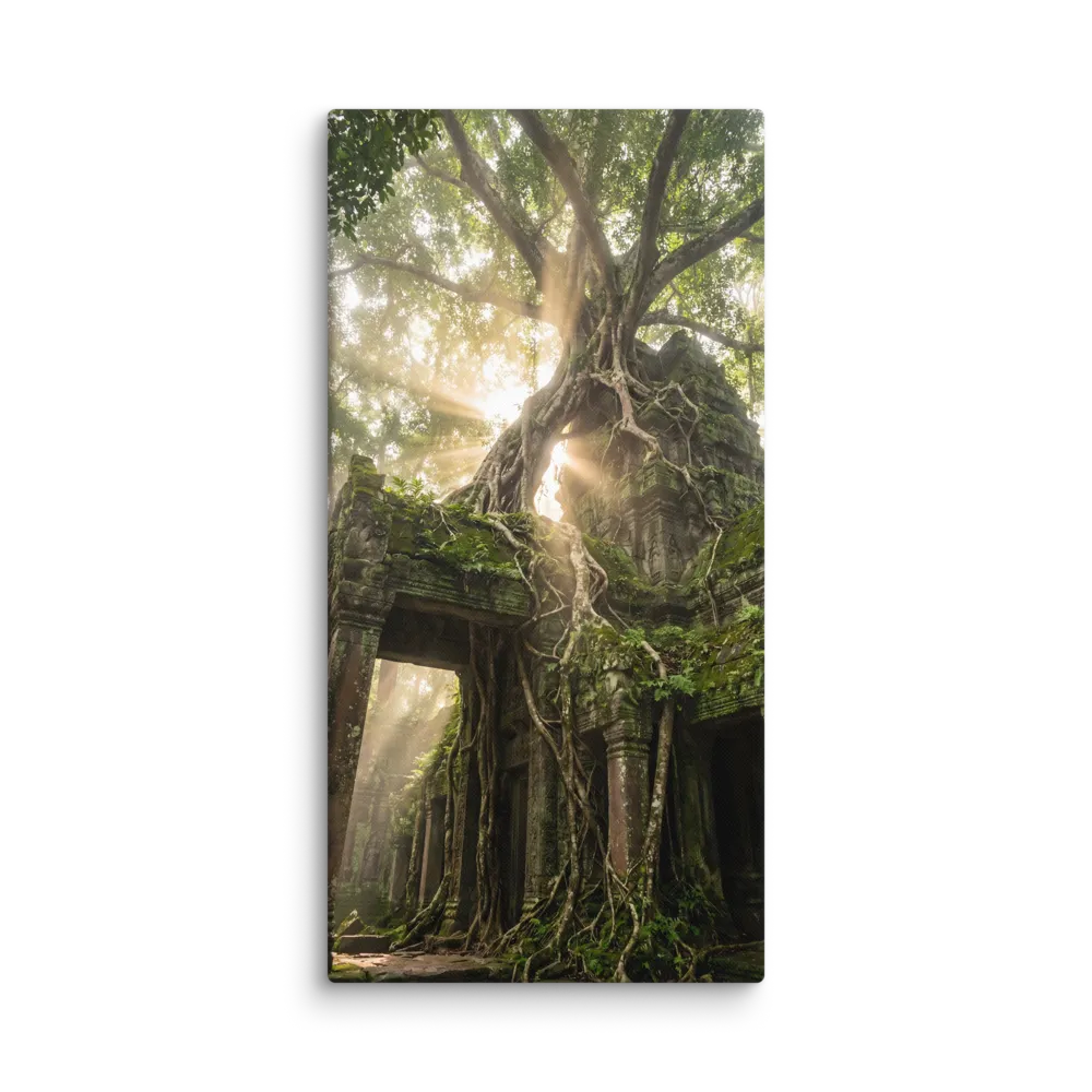 Ancient Temple Roots with Sunrays 
 Canvas | 12″x 24″