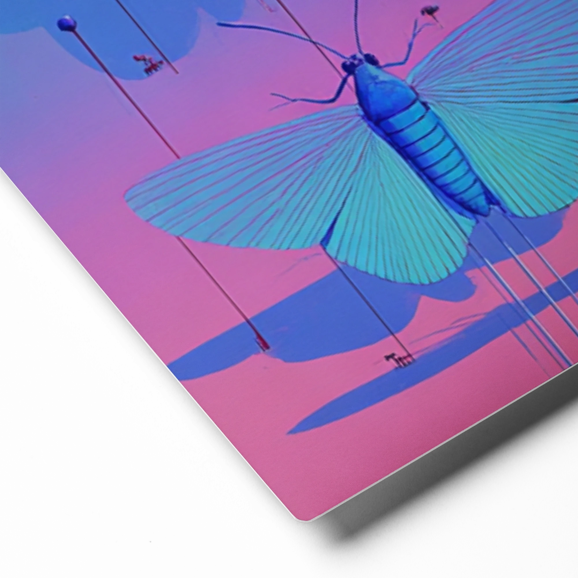 Butterfly Specimen Grid | Art Print