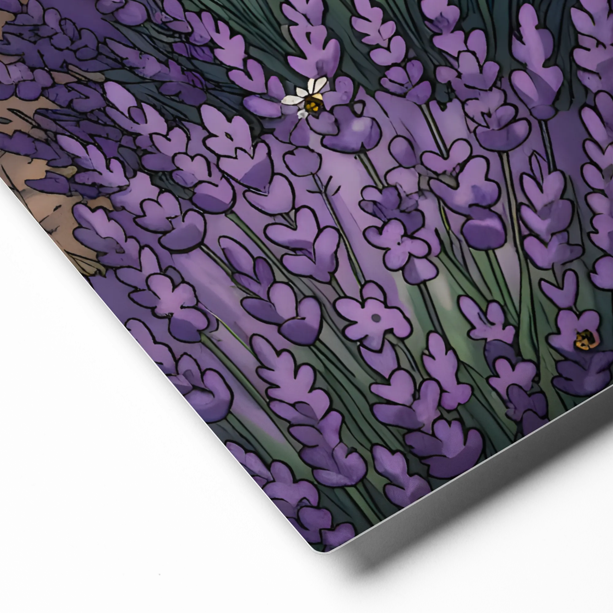 Provence Lavender Field 
 Canvas with White Frame