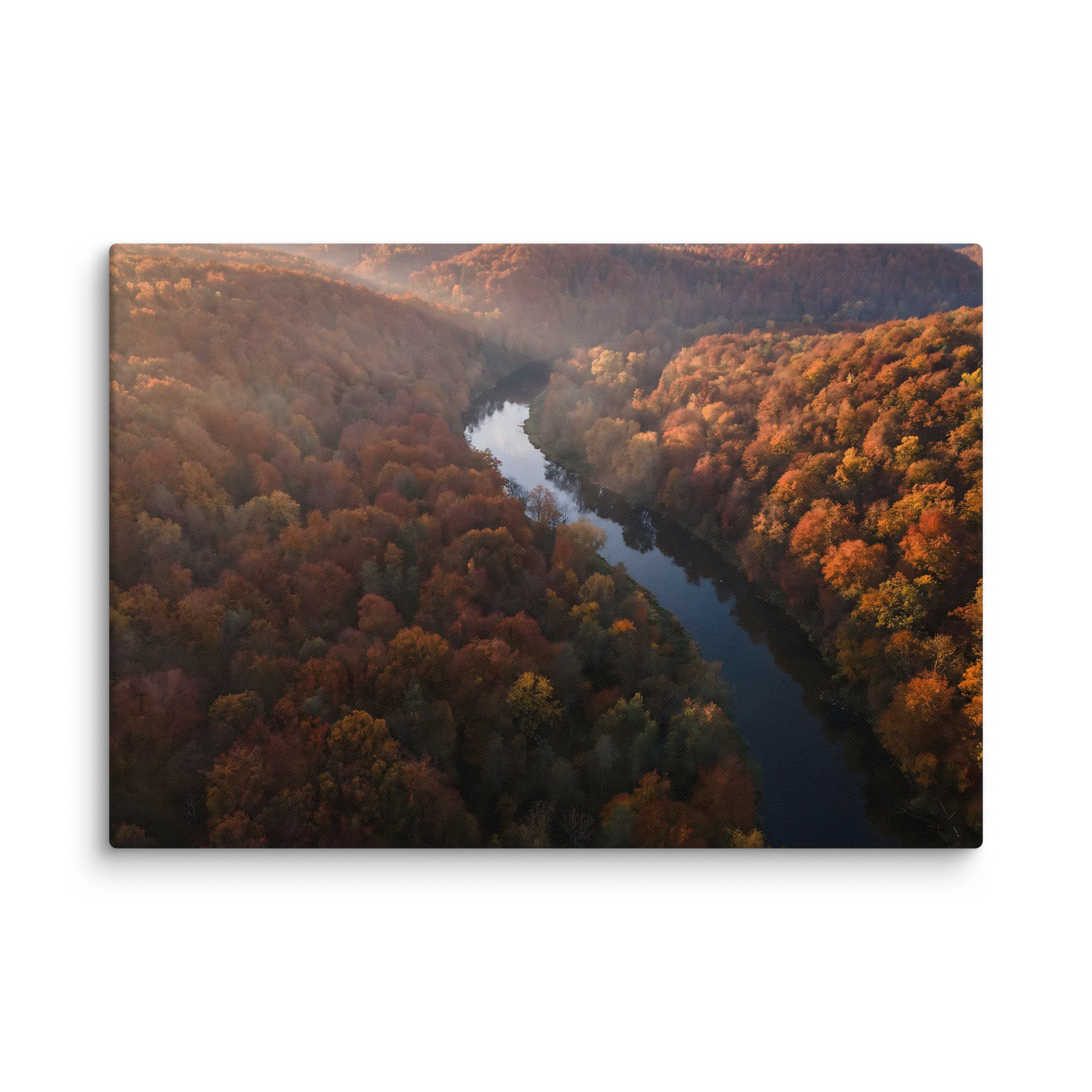 Photography Wall Art for Modern Spaces — Distinctive Perspectives