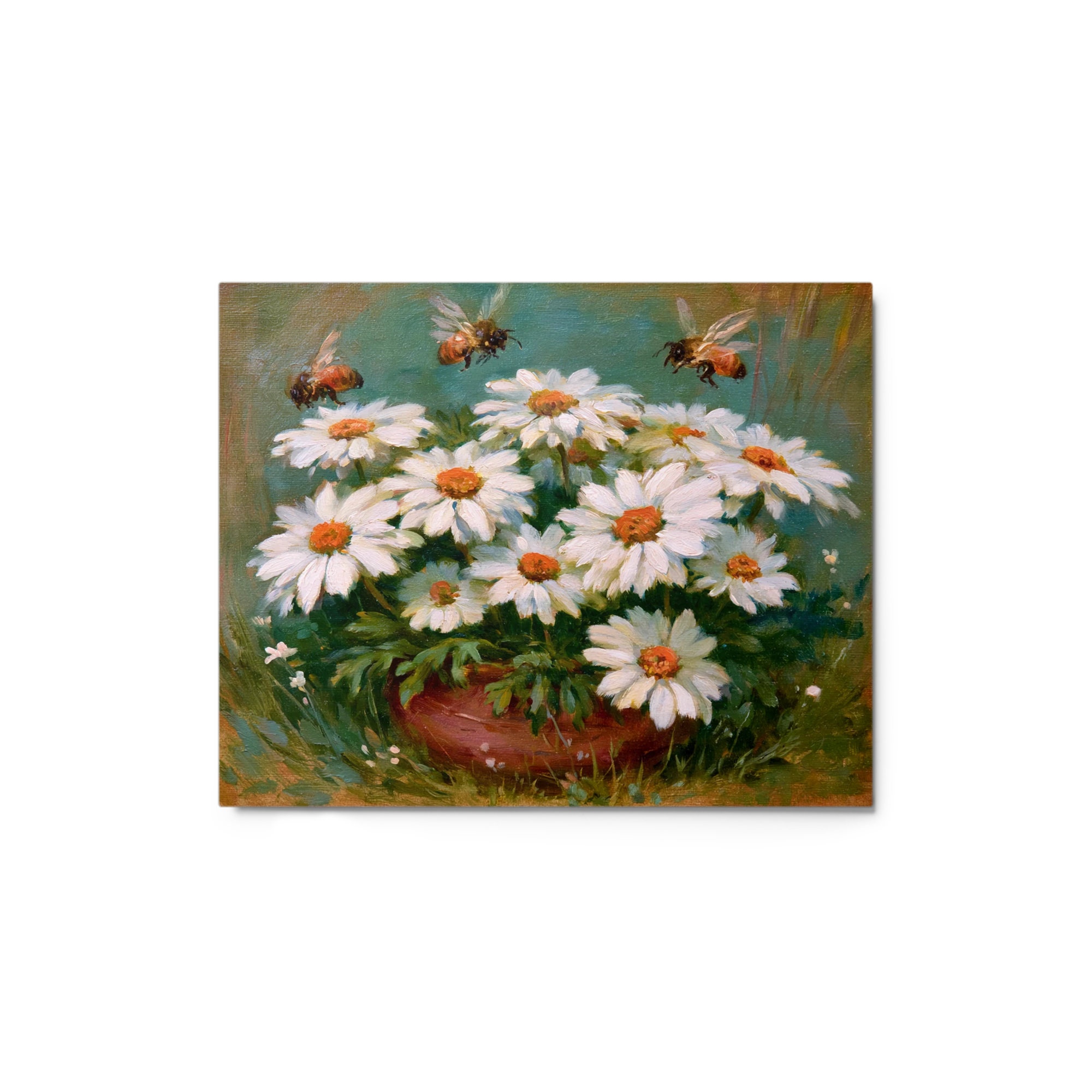 Daisies and Bees