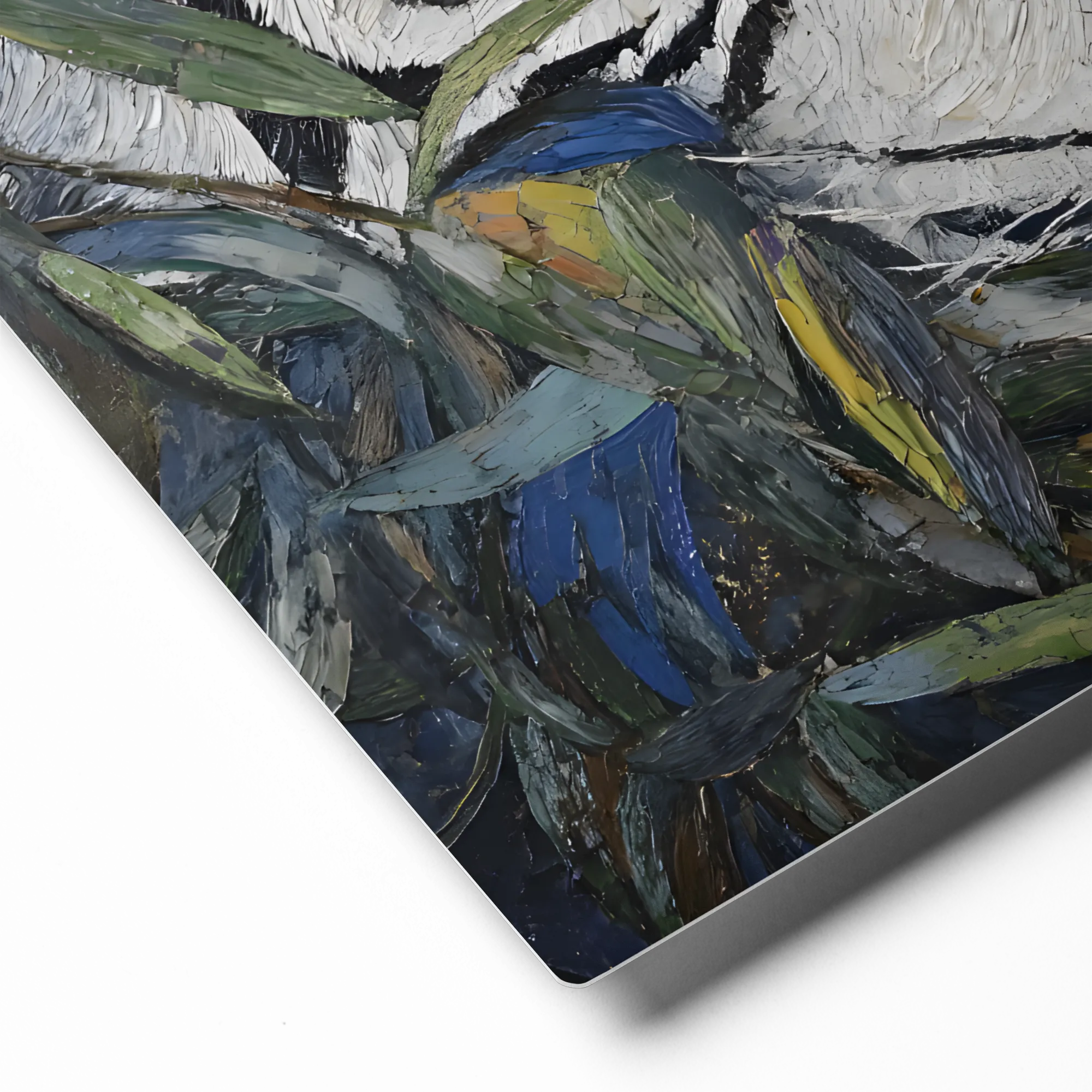 Jungle Gaze: White Tiger 
 Canvas with Black Frame