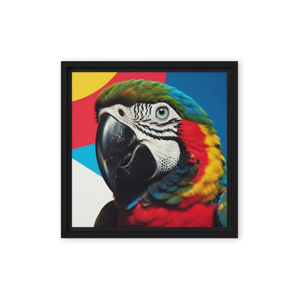 Scarlet Macaw Close-Up
