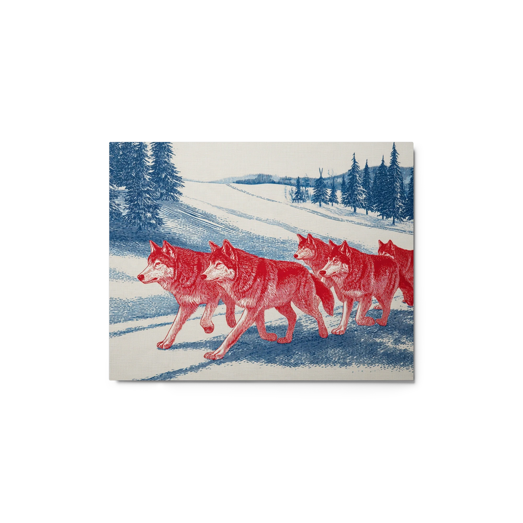 Red Wolves in Winter