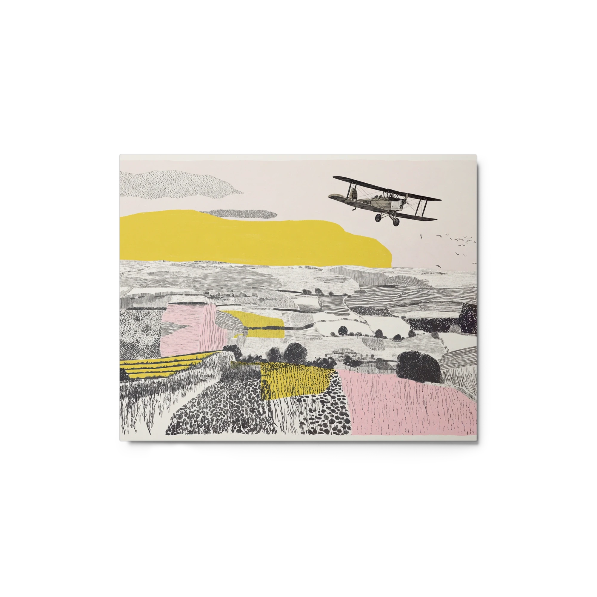 Flight Over the Fields