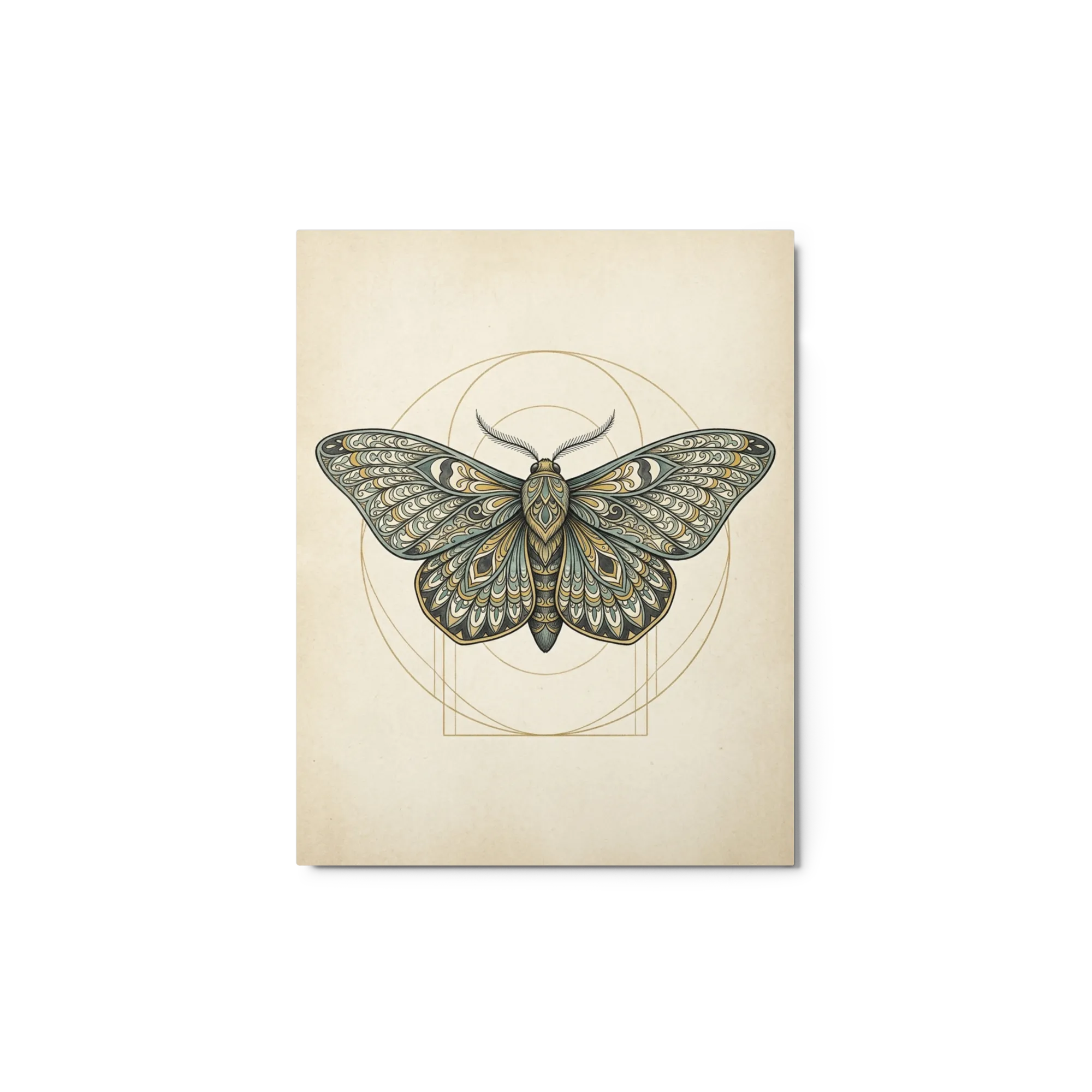 Falena Simmetrica Art Nouveau