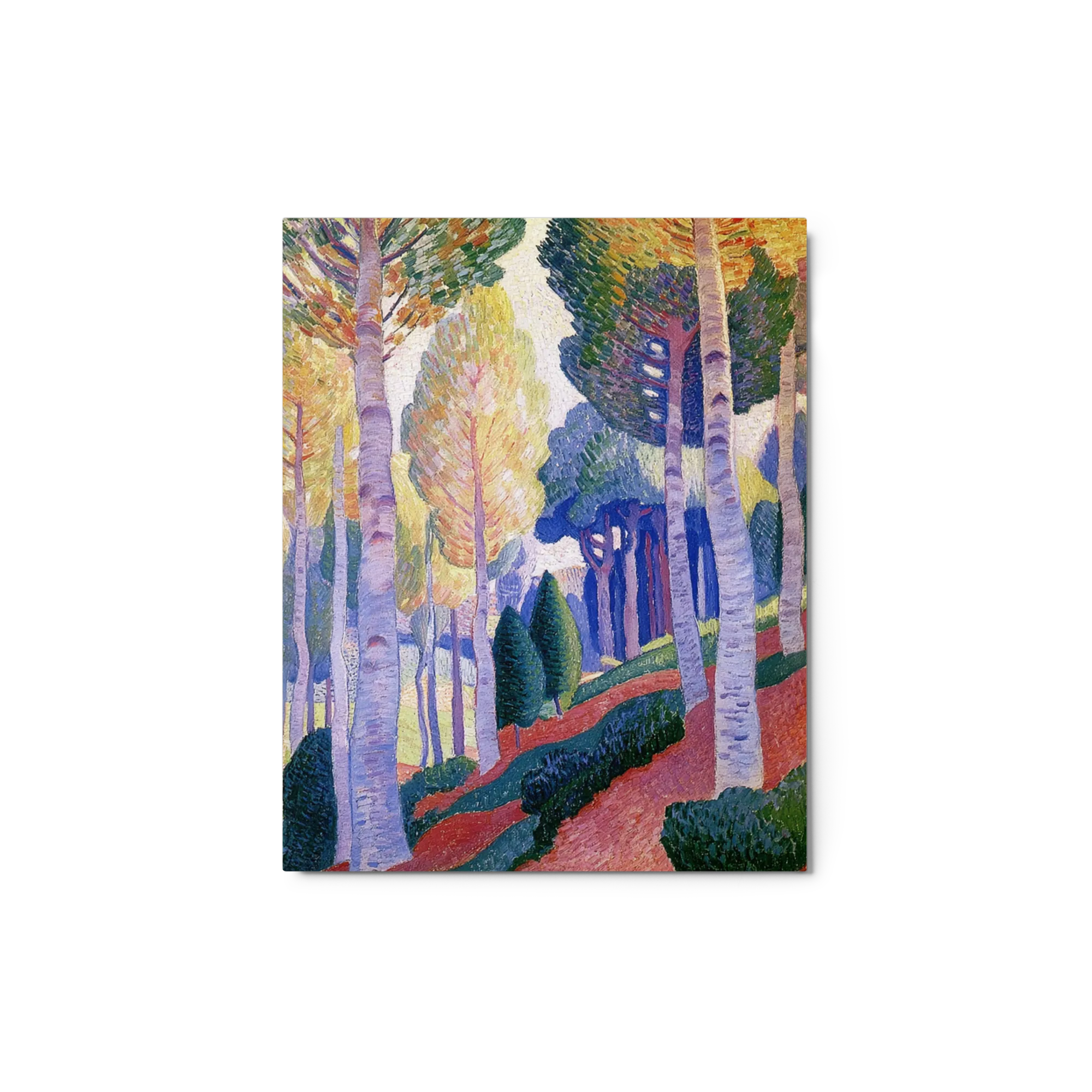 The Sunlit Grove 
 Canvas | 11″x 14″