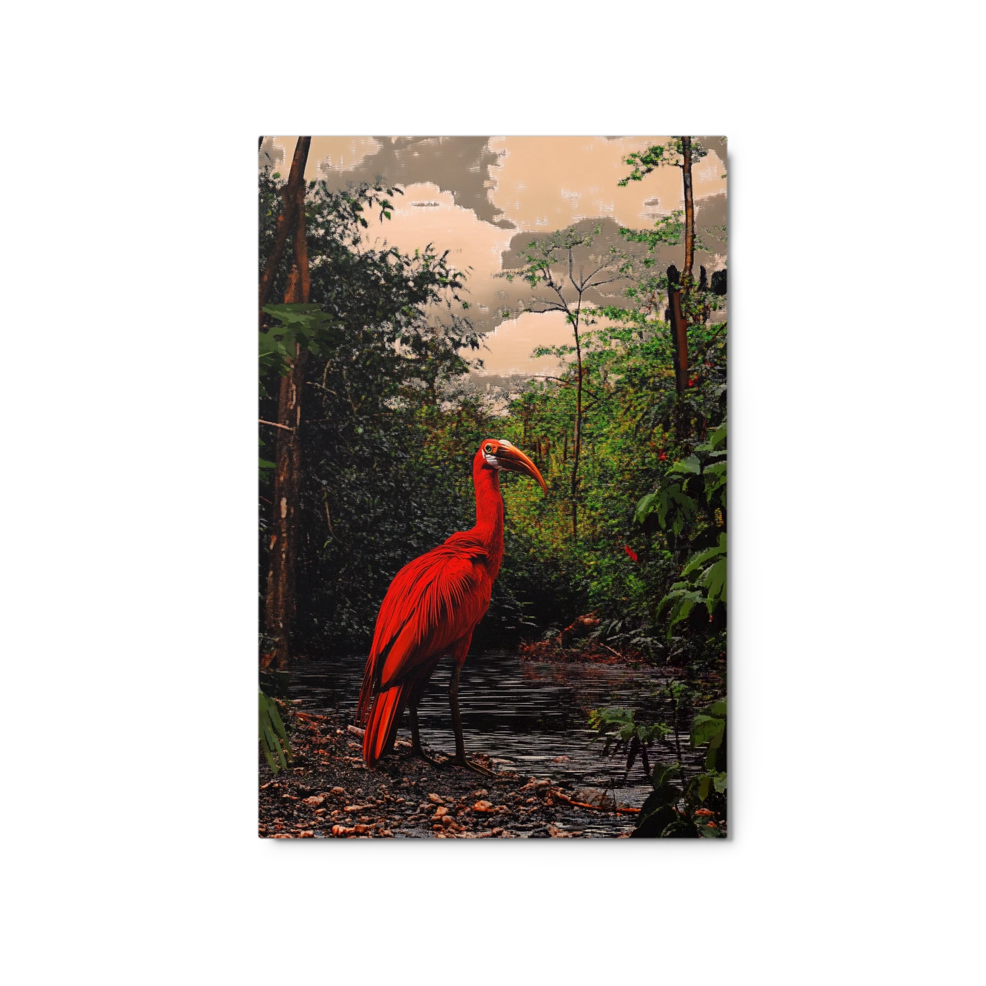 Scarlet Ibis by the Water