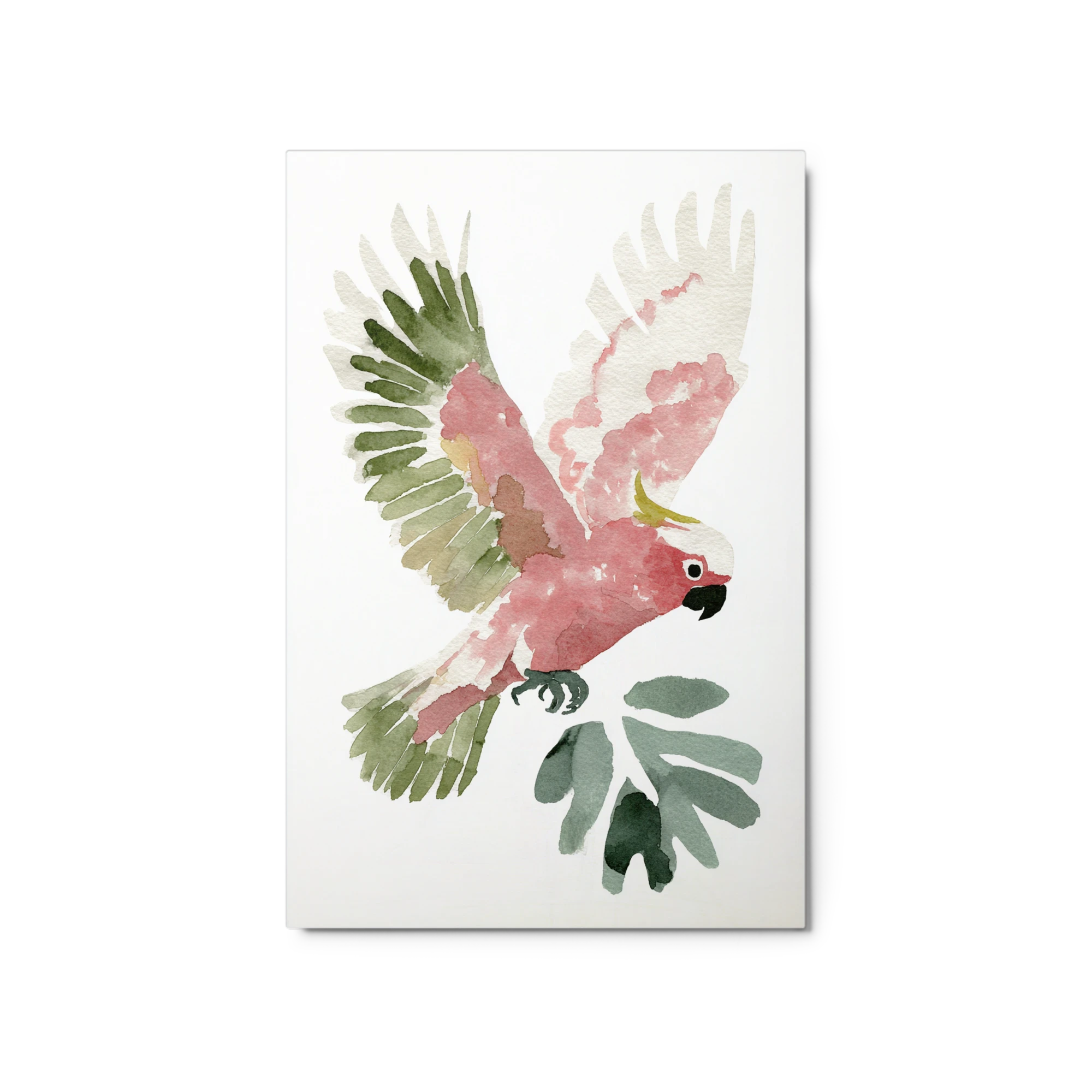 Cockatoo in Flight