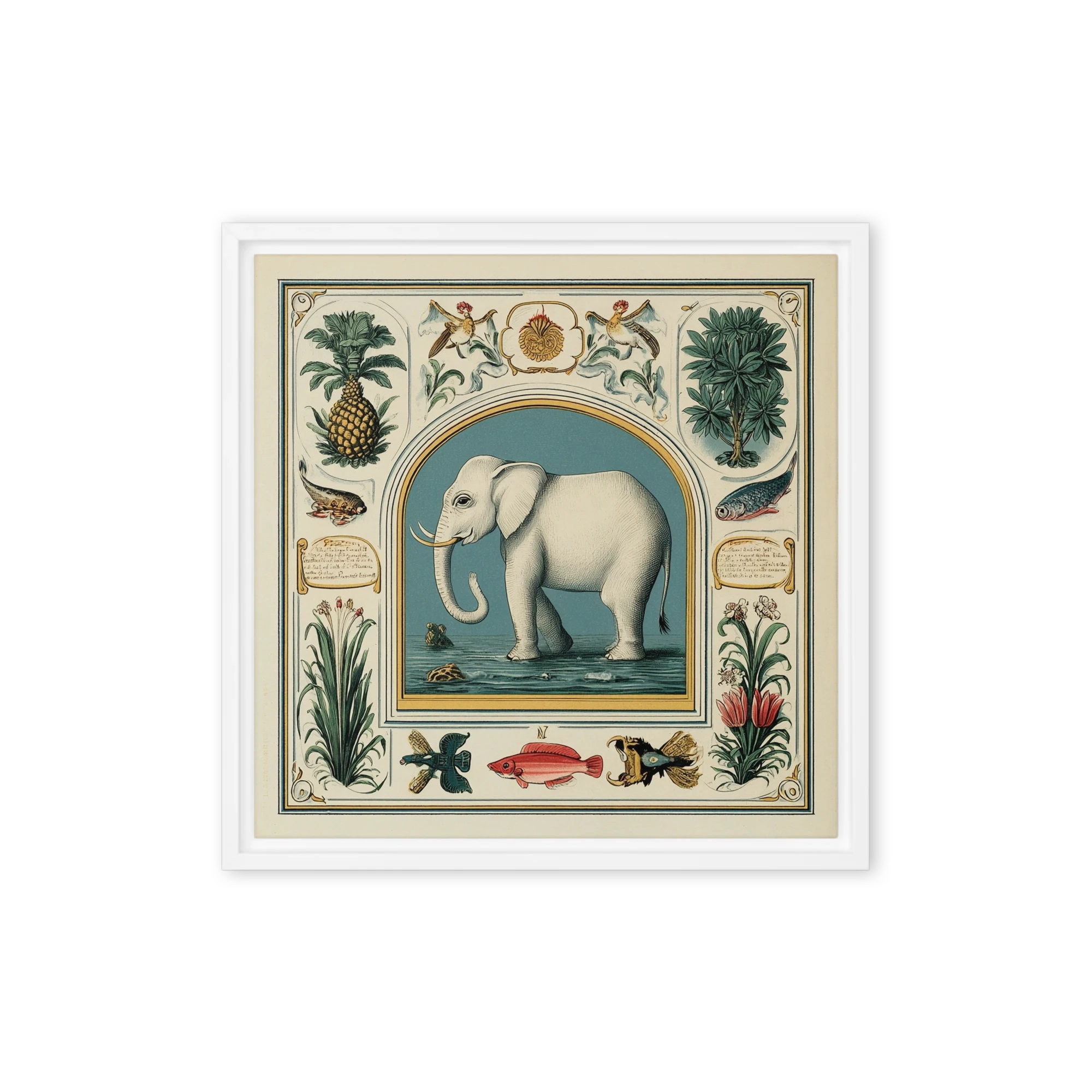 White Elephant Natural History Illustration