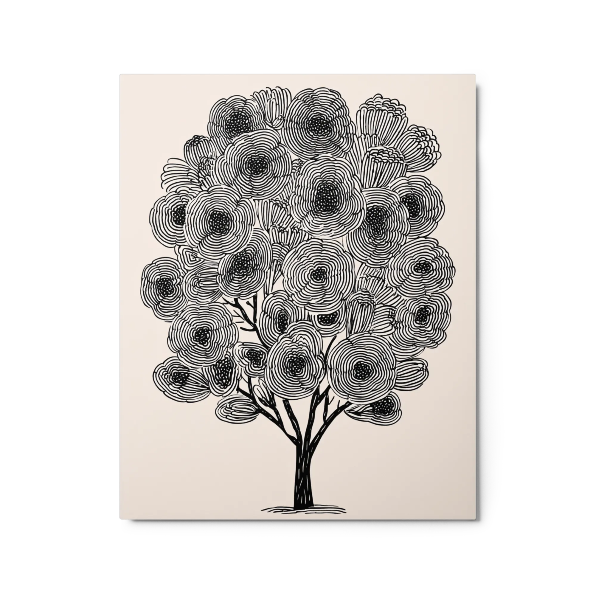 Concentric Canopy