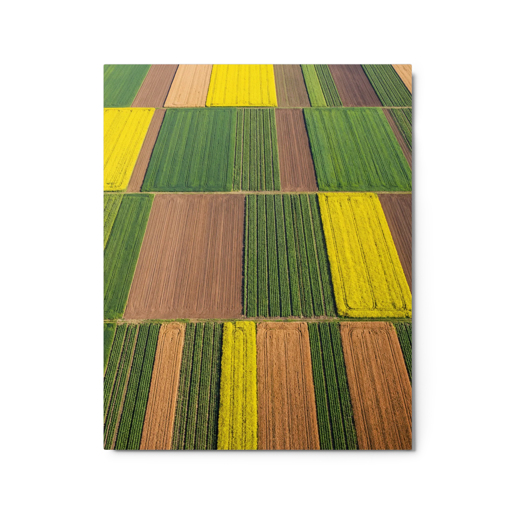 Aerial Field Mosaic