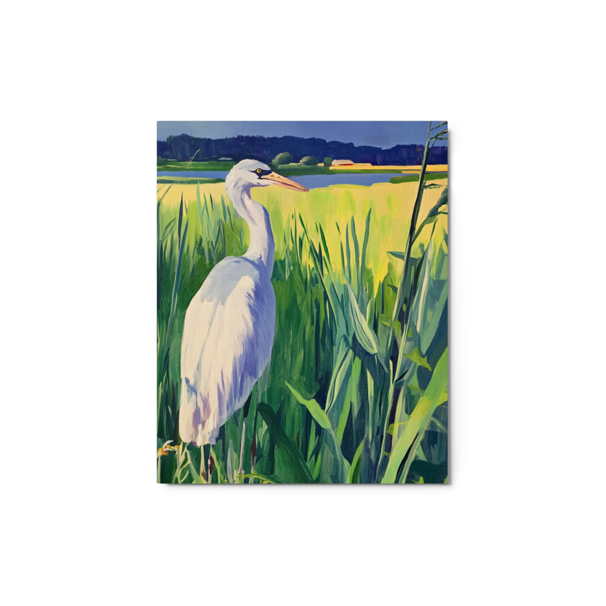 Heron in Green Grass