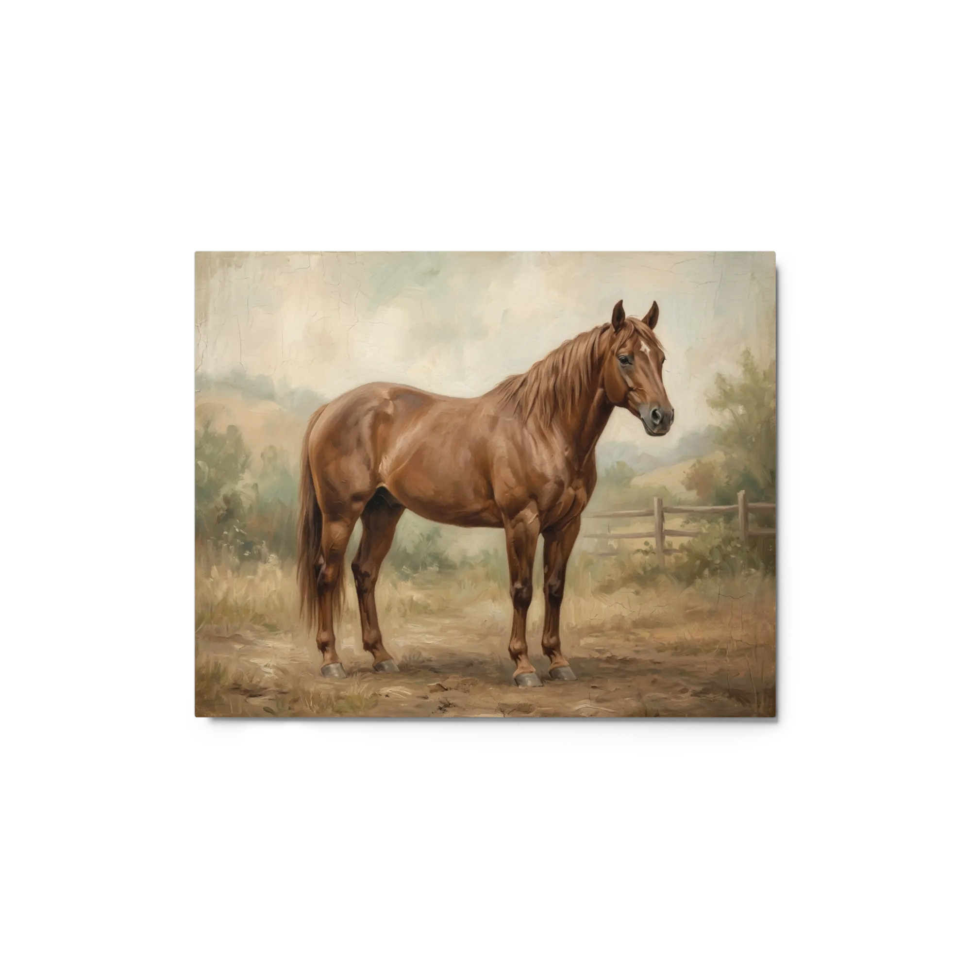 The Chestnut Stallion