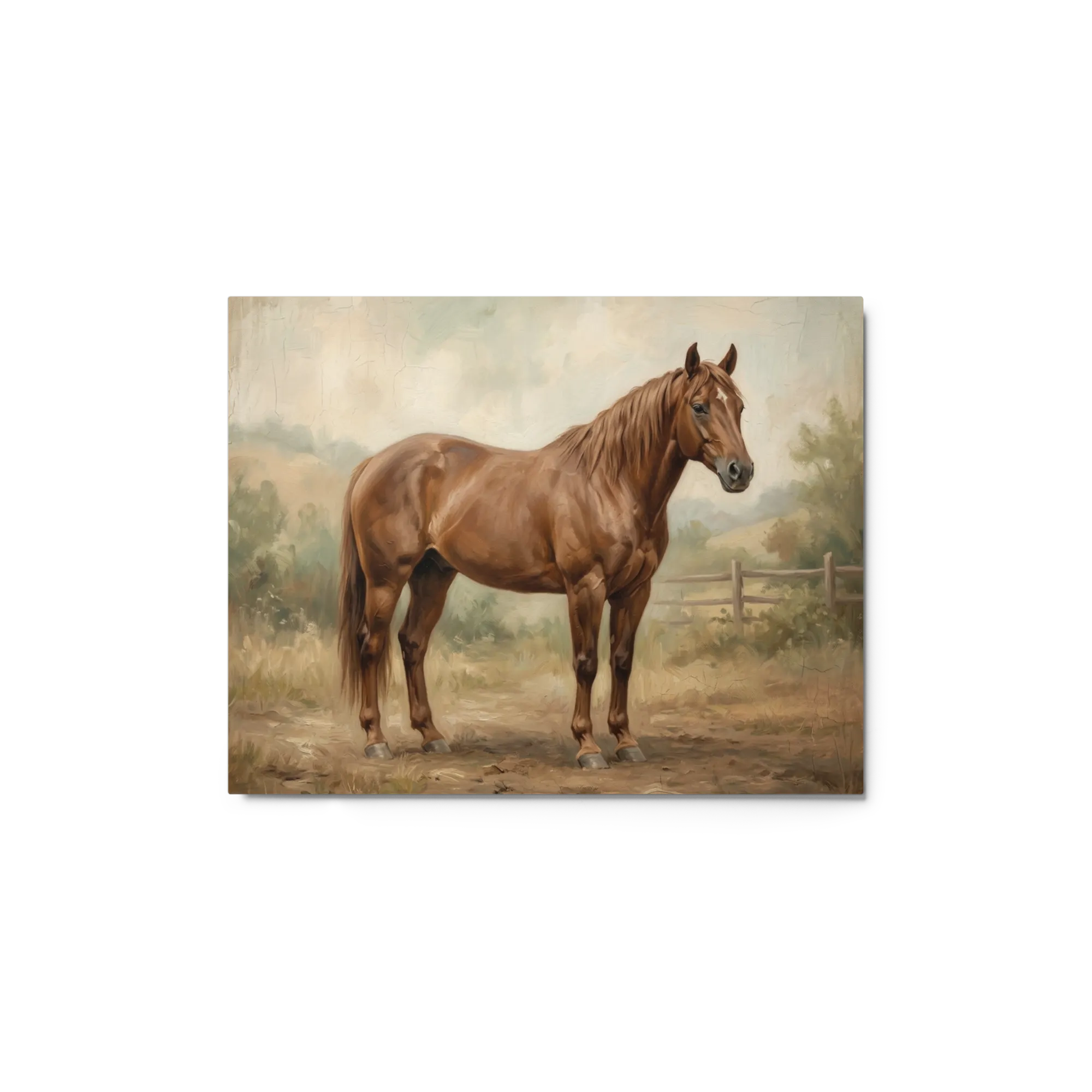 The Chestnut Stallion