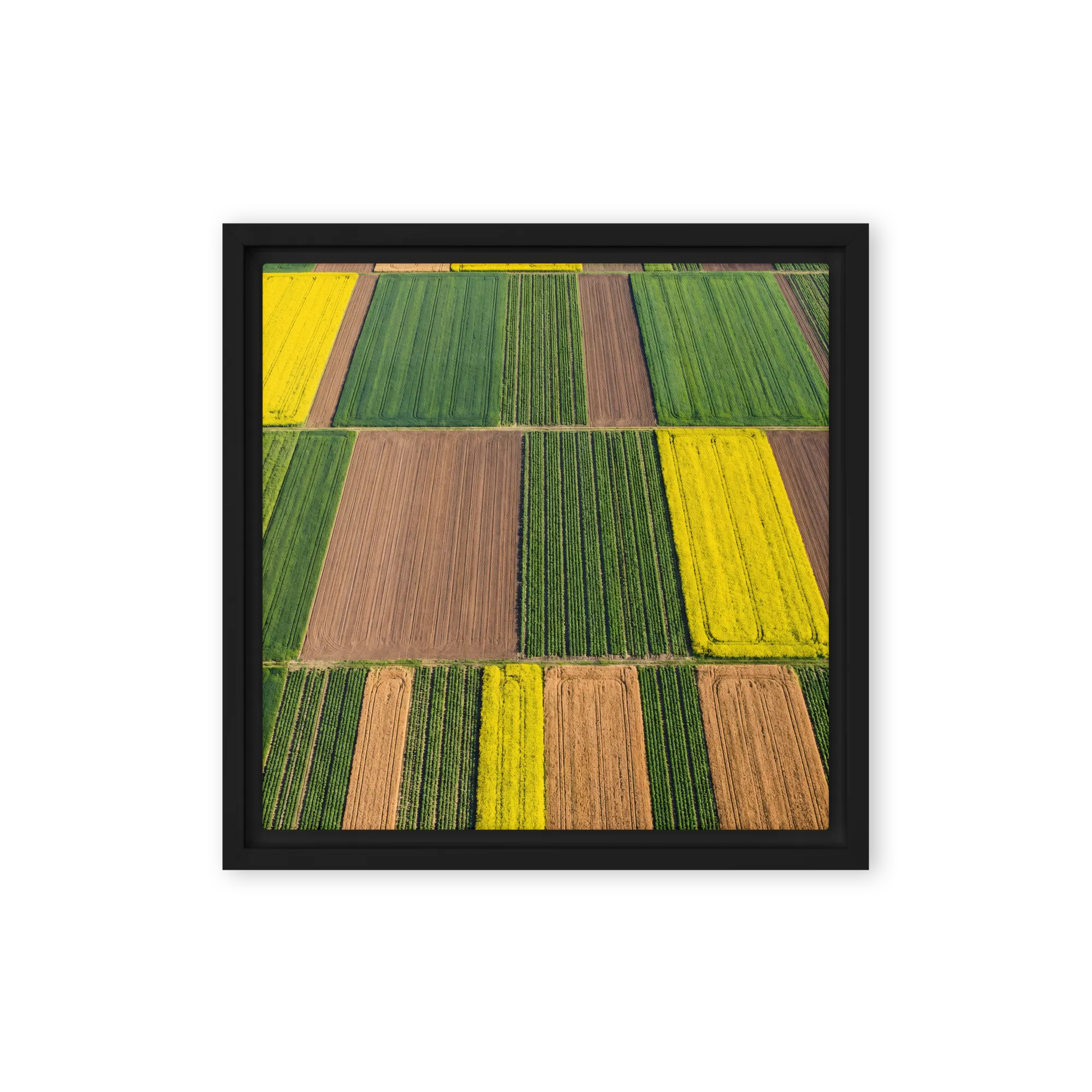Photography Wall Art for Modern Spaces — Distinctive Perspectives