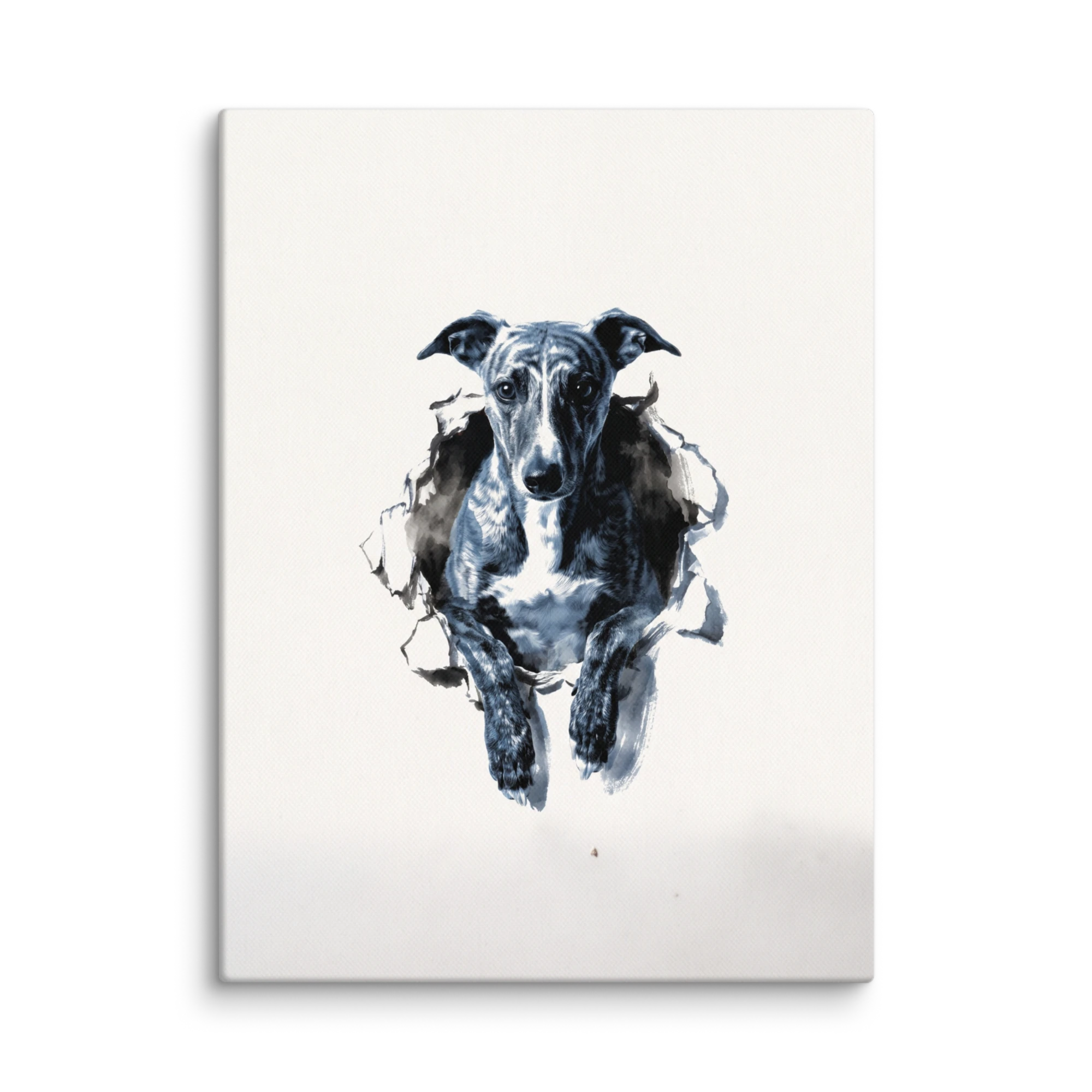 Pet Portrait — Misty Sanshui