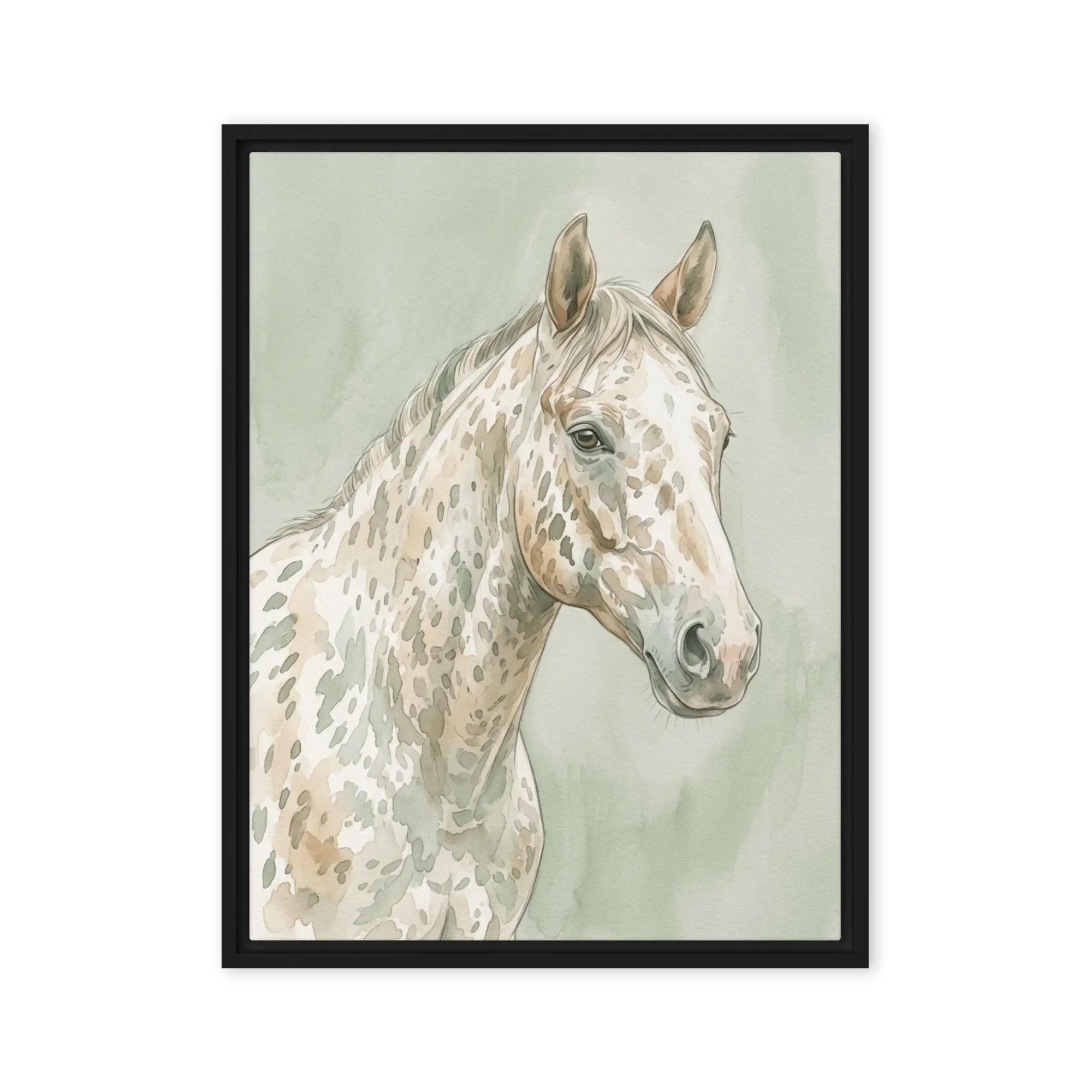 Appaloosa in Watercolor 
 Metal Print | 11″x 14″
