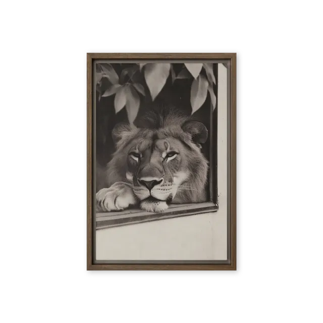 Watchful Gaze | Art Print
