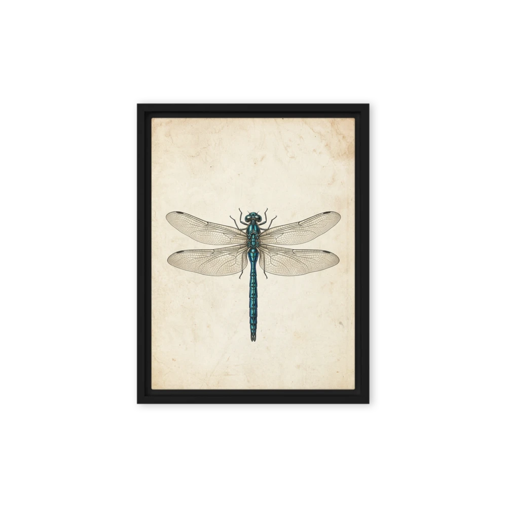 Teal Dragonfly Engraving | Art Print