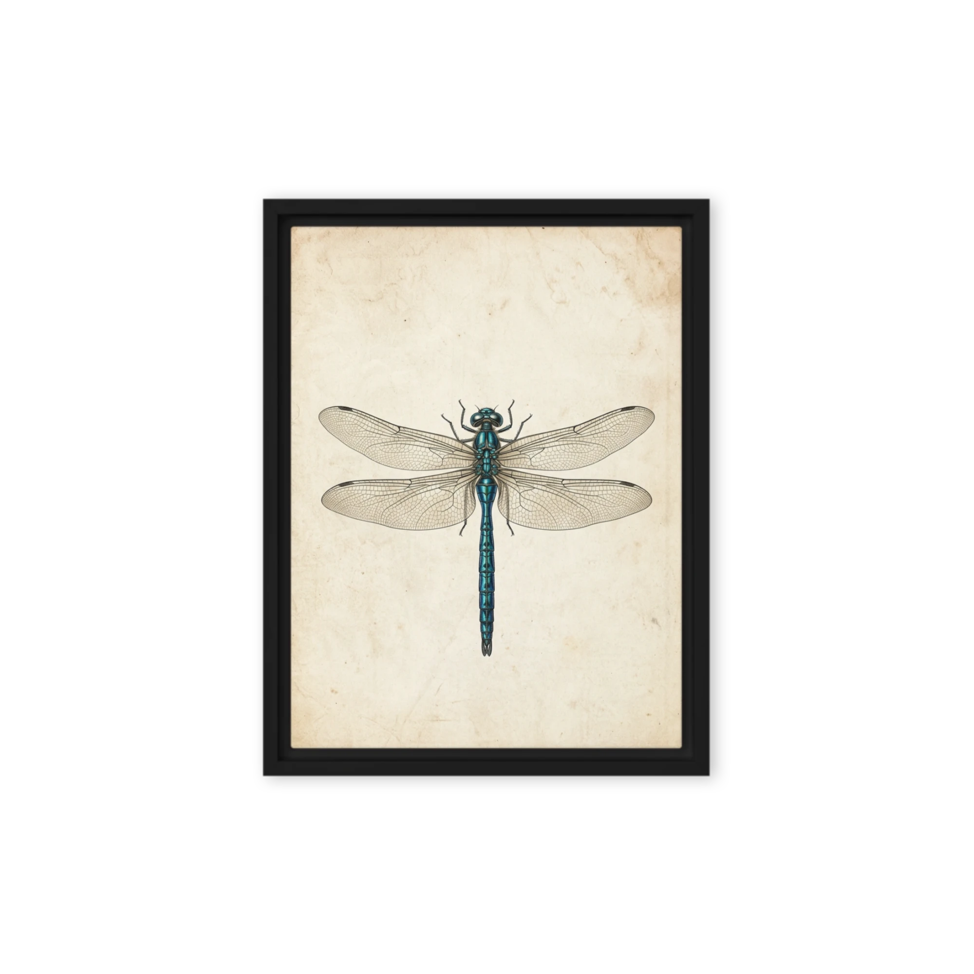 Teal Dragonfly Engraving